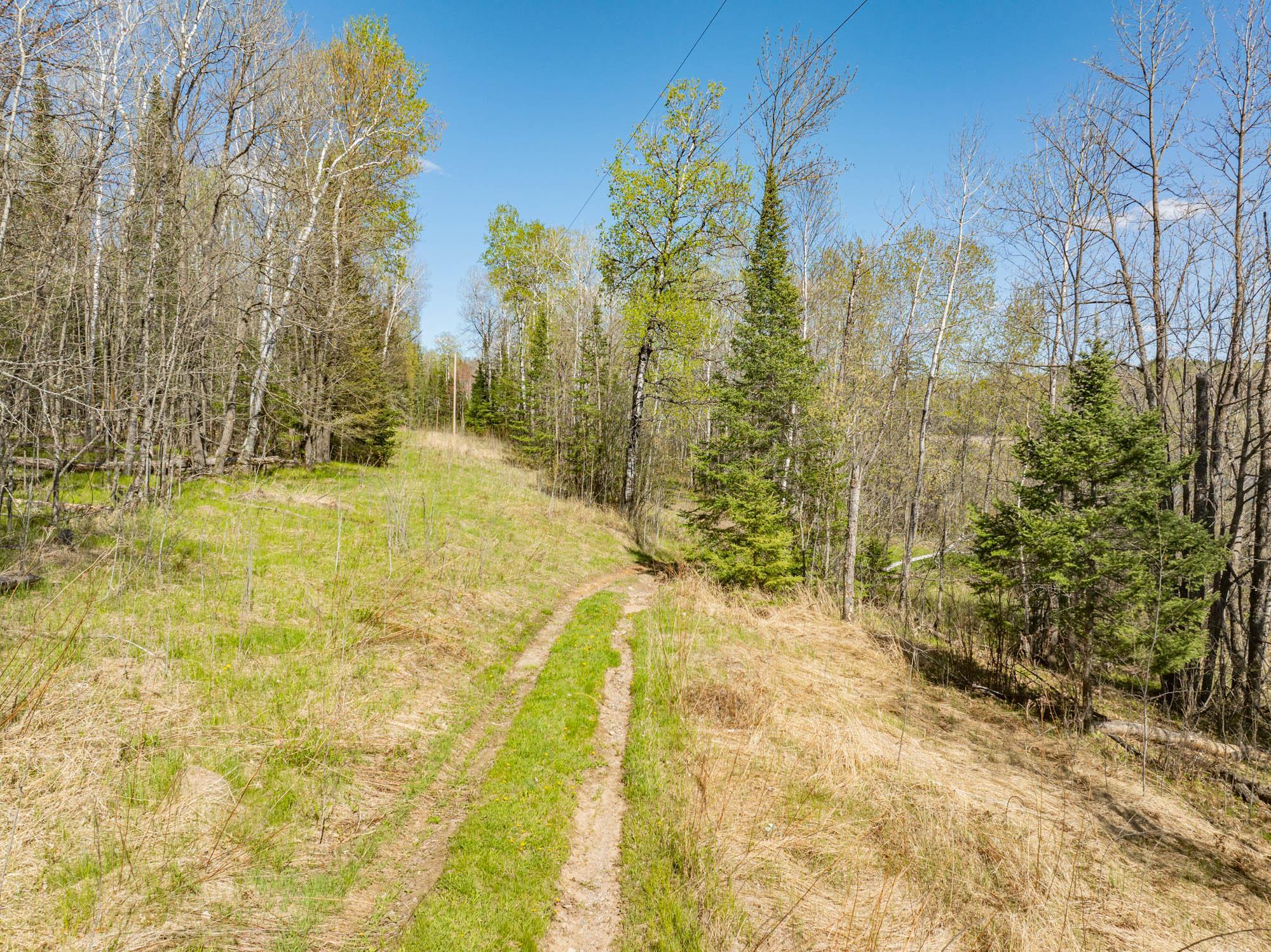 2008 single family home for sale at 27162 County Road 16 in Hibbing, MN — 2 bed, 3 bath (photo 46 of 50)