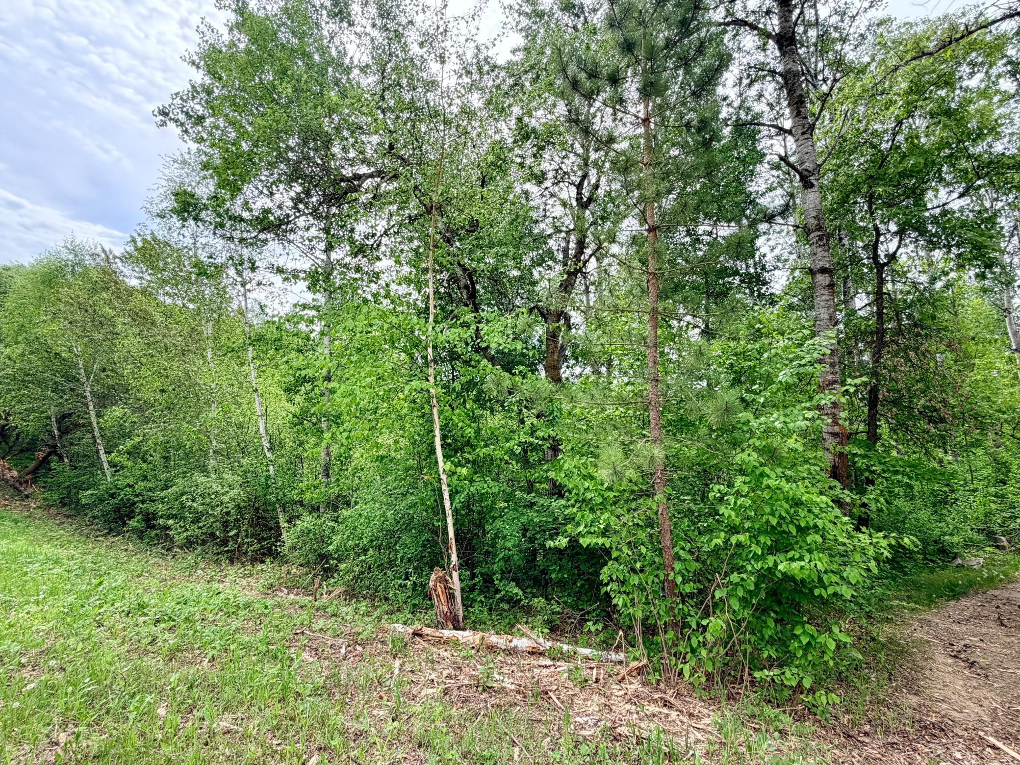 TBD Half Moon Rd, Park Rapids MN 56470 - Photo 11 of 12
