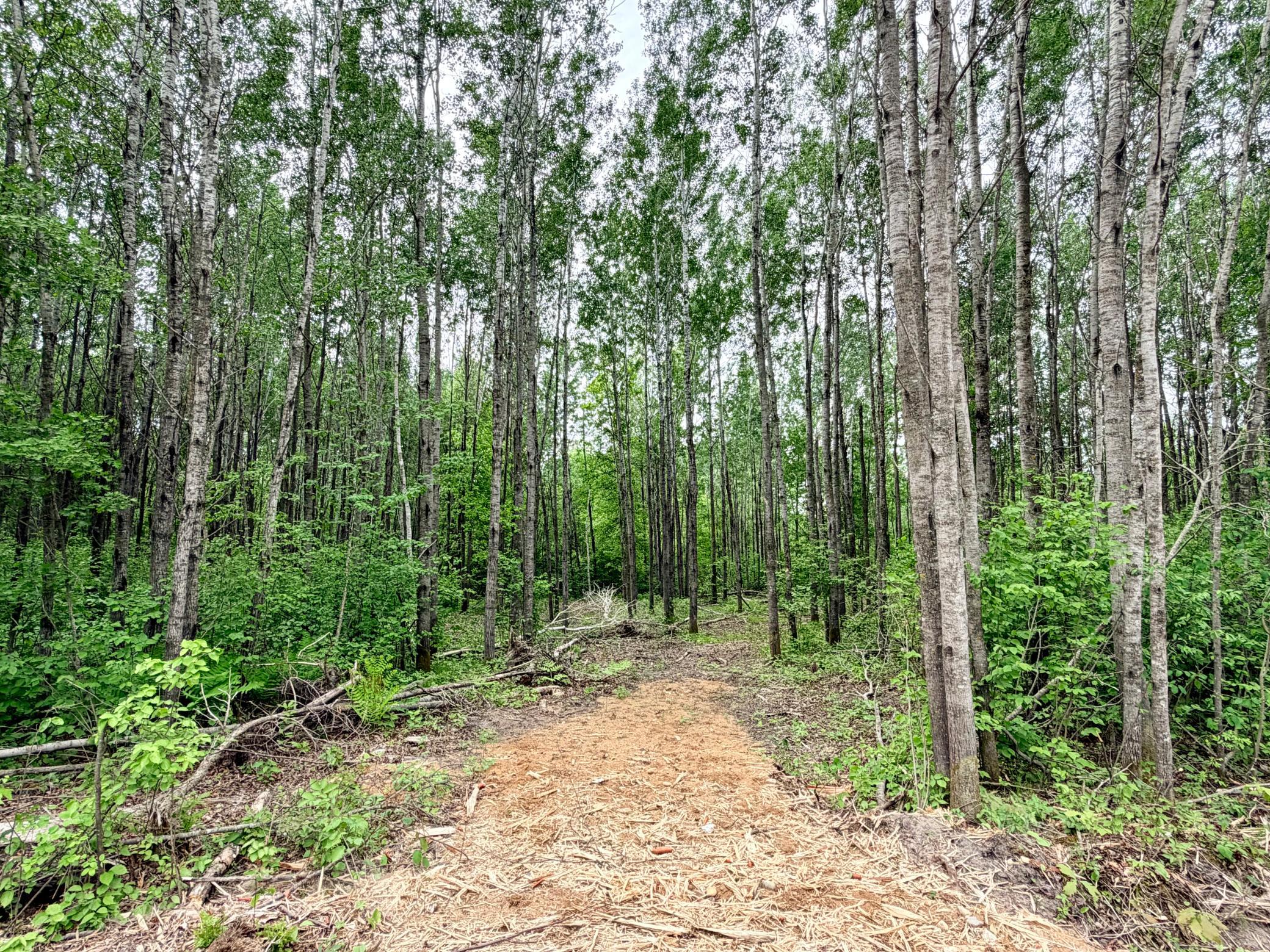 TBD Half Moon Rd, Park Rapids MN 56470 - Photo 3 of 12