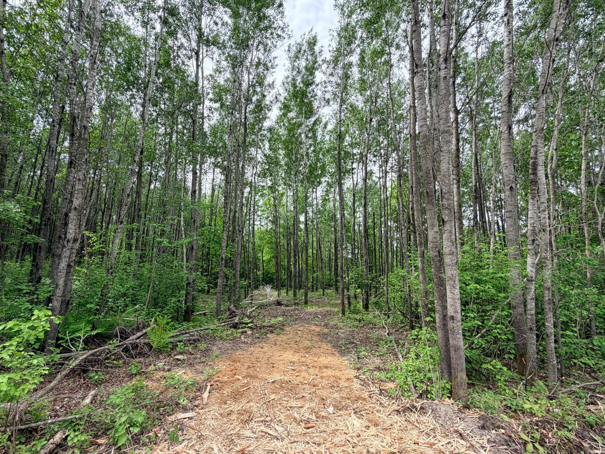 TBD Half Moon Rd, Park Rapids MN 56470 - Photo 9 of 12