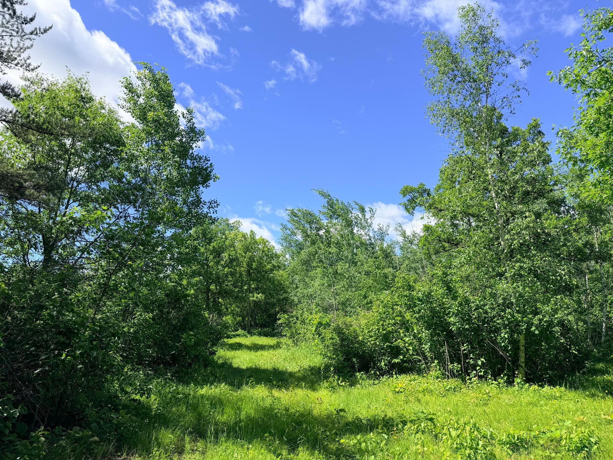 TBD - 24.4 AC County 4, Park Rapids MN 56470 - Photo 12 of 19