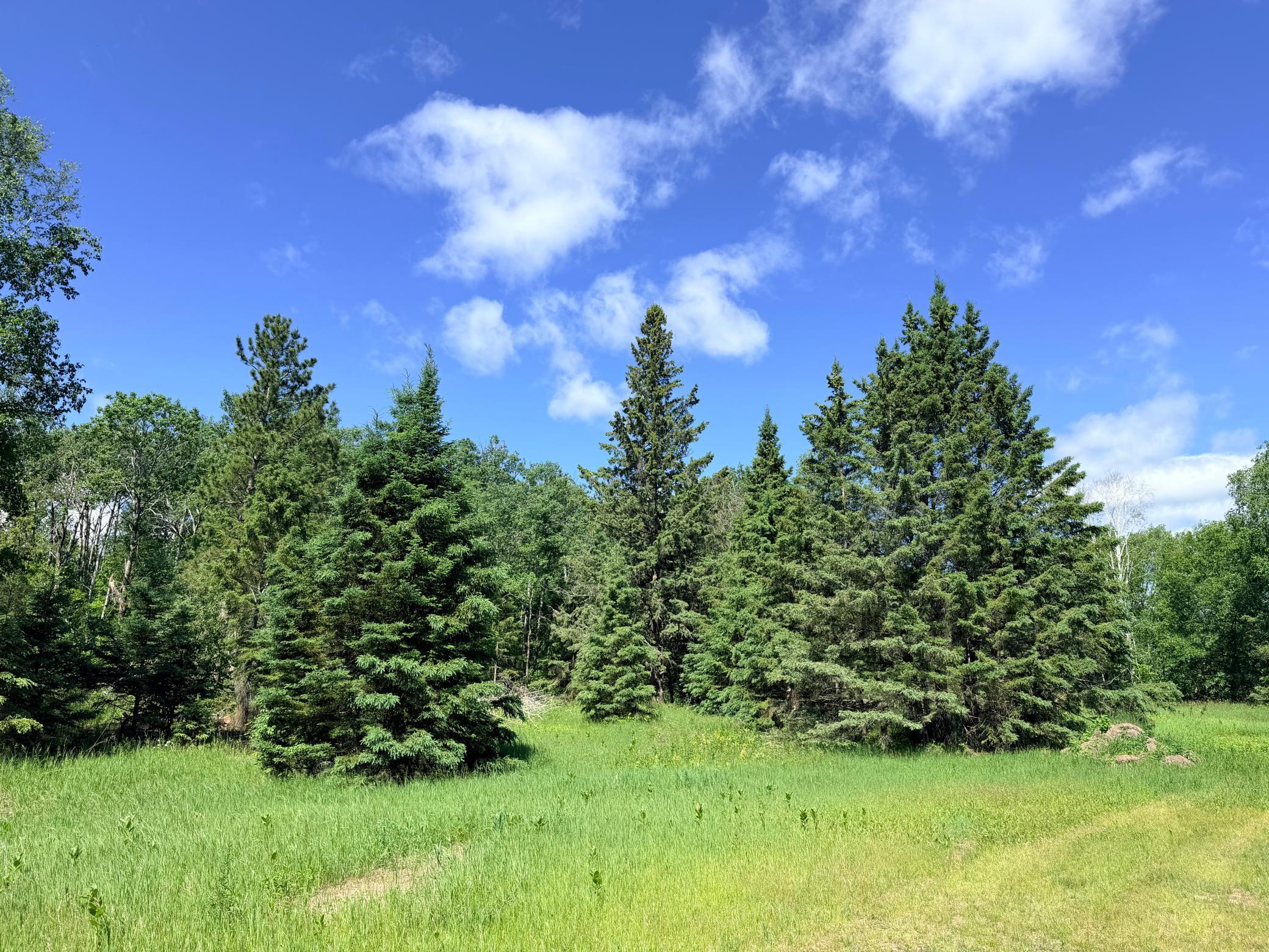 TBD - 24.4 AC County 4, Park Rapids MN 56470 - Photo 16 of 19