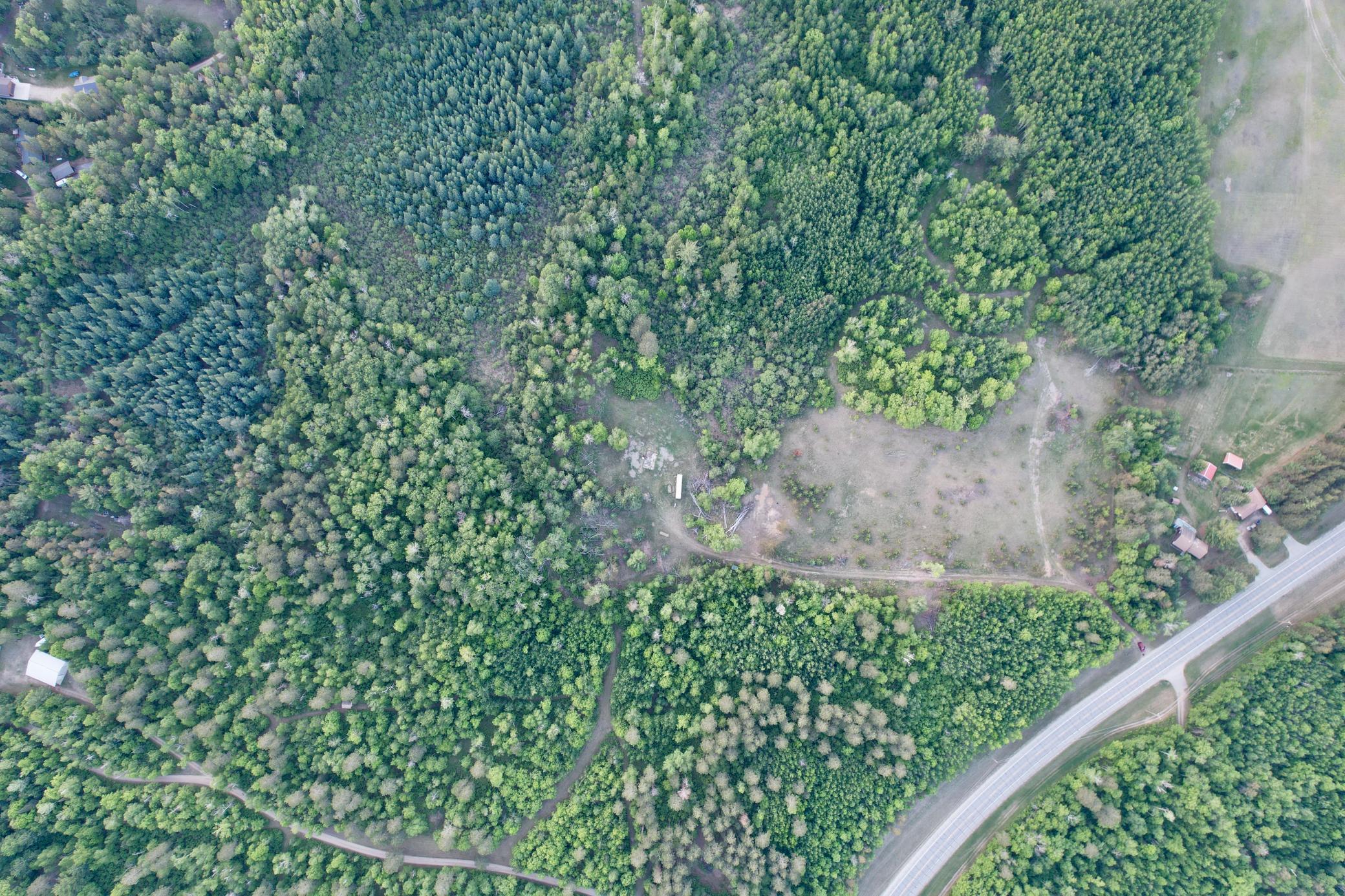 TBD - 24.4 AC County 4, Park Rapids MN 56470 - Photo 4 of 19