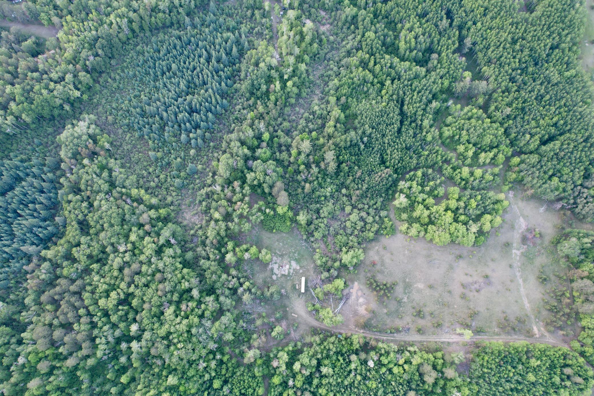 TBD - 24.4 AC County 4, Park Rapids MN 56470 - Photo 6 of 19