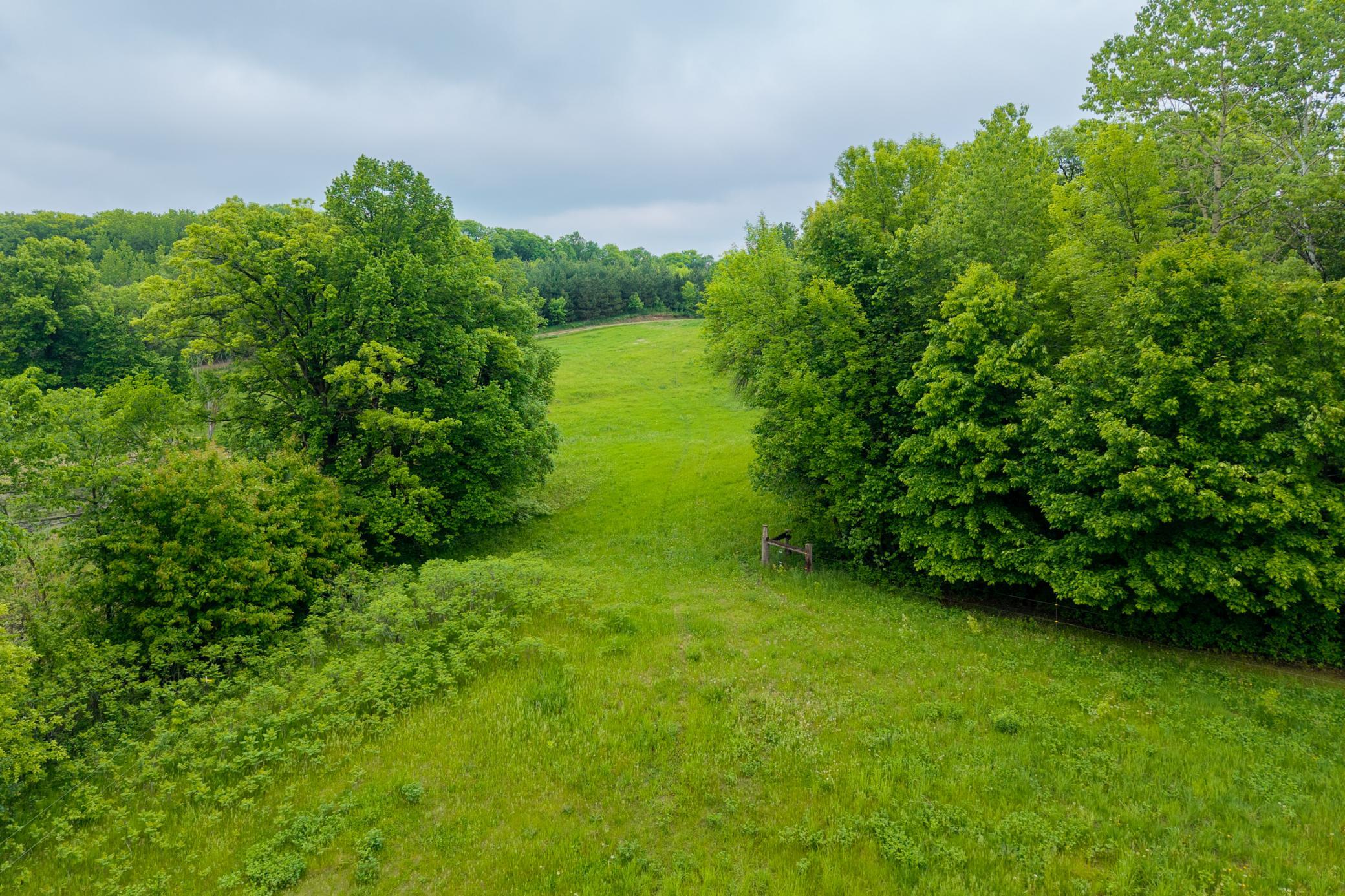 34602 250th Avenue, Erhard MN 56534 - Photo 53 of 61