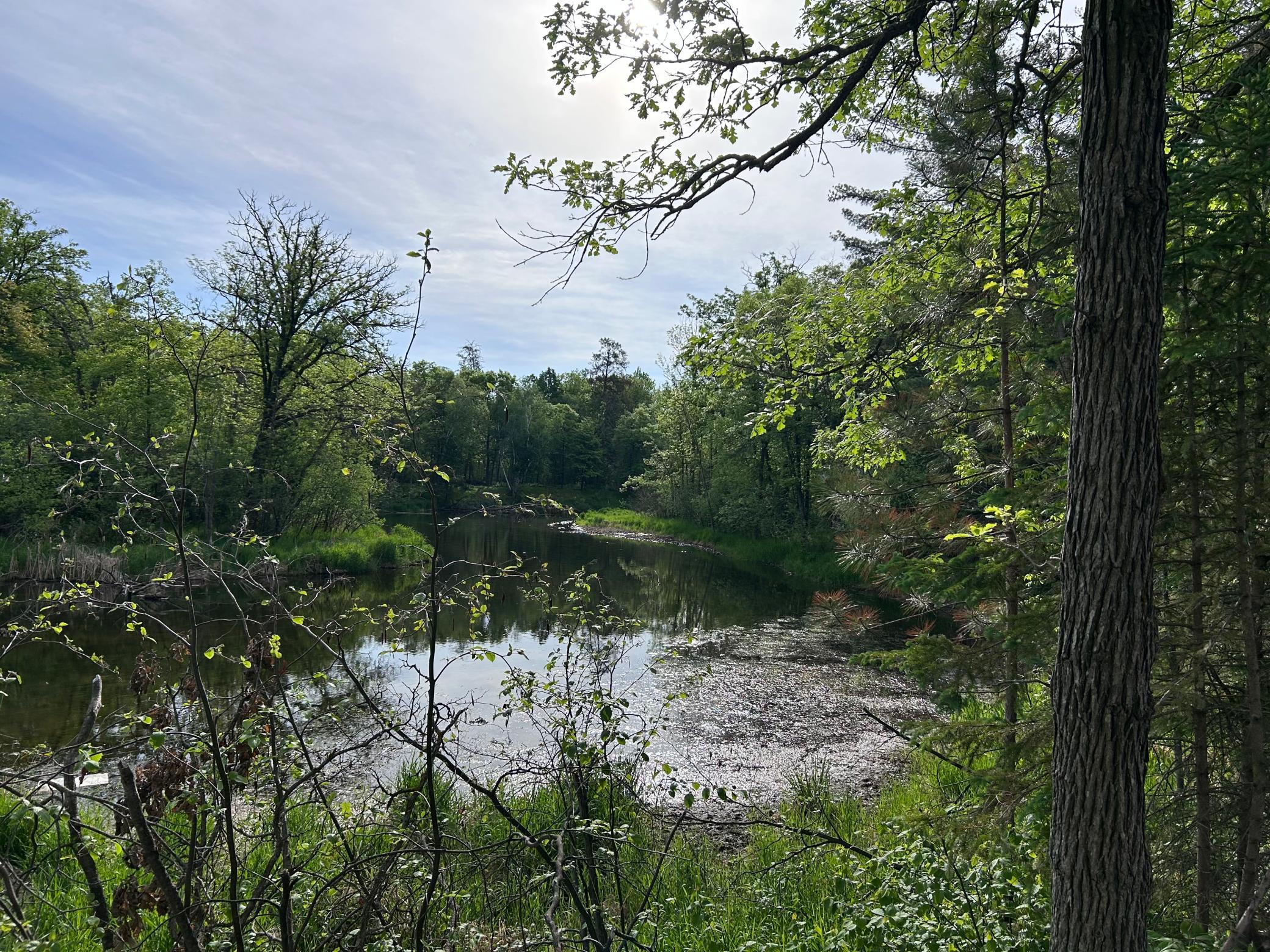 land for sale at TBD Front Street in Pine River, MN