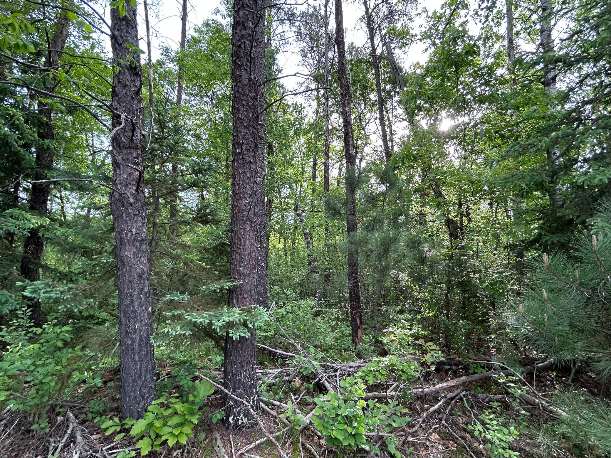 land for sale at TBD Front Street in Pine River, MN (photo 3 of 8)