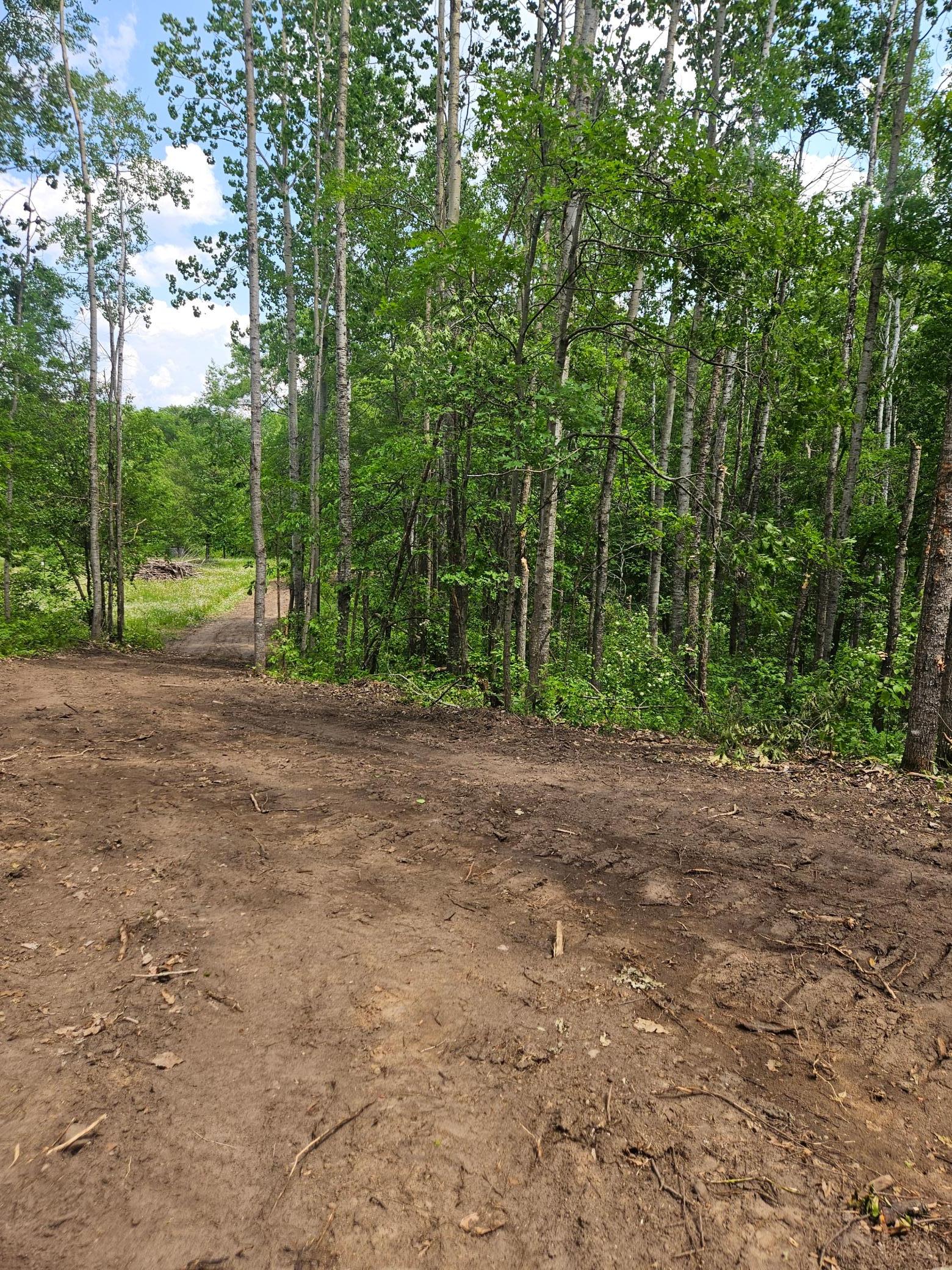 land for sale at Parcel E Rogue Way in Ironton, MN (photo 2 of 18)