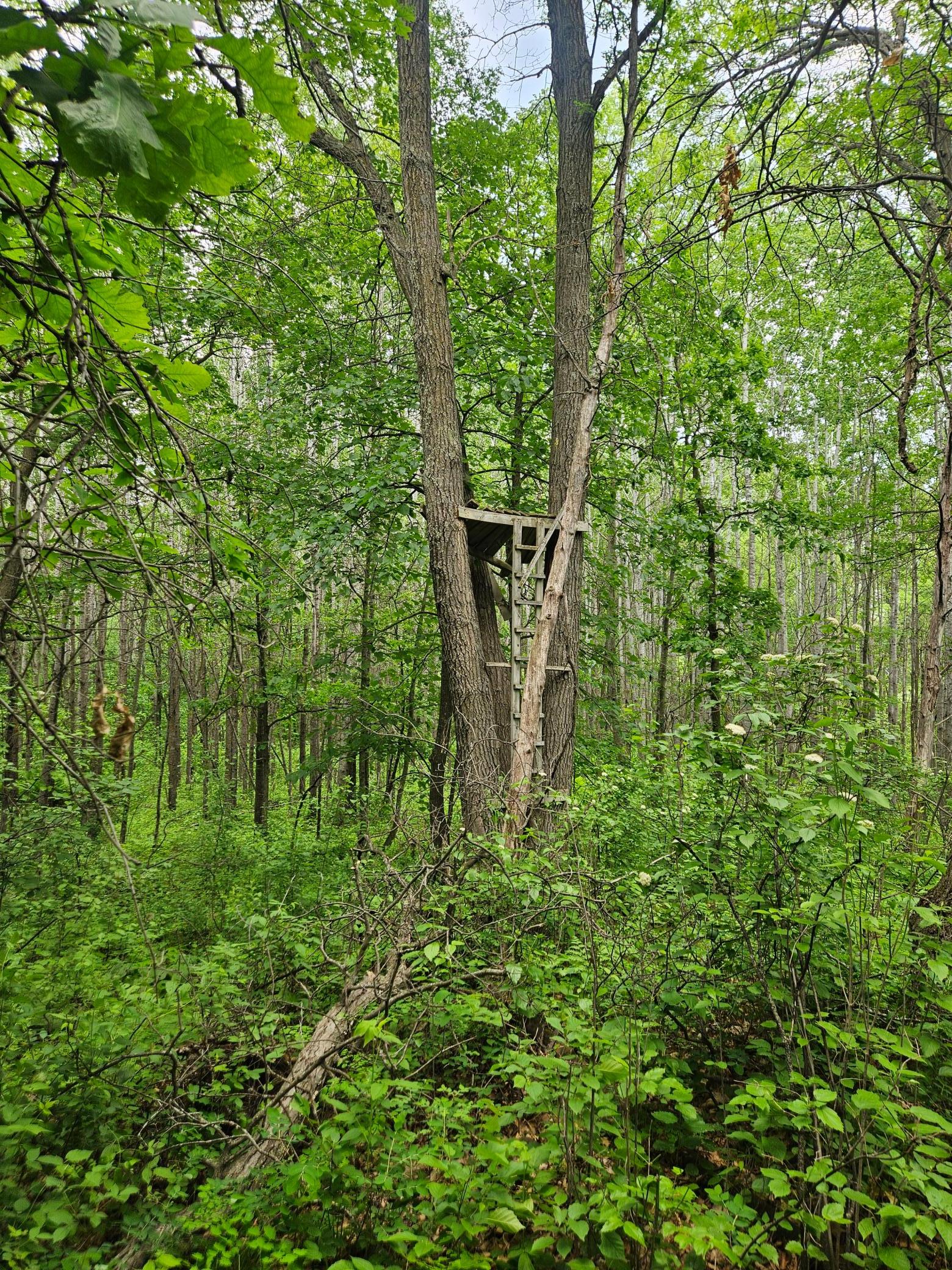 land for sale at Parcel E Rogue Way in Ironton, MN (photo 15 of 18)
