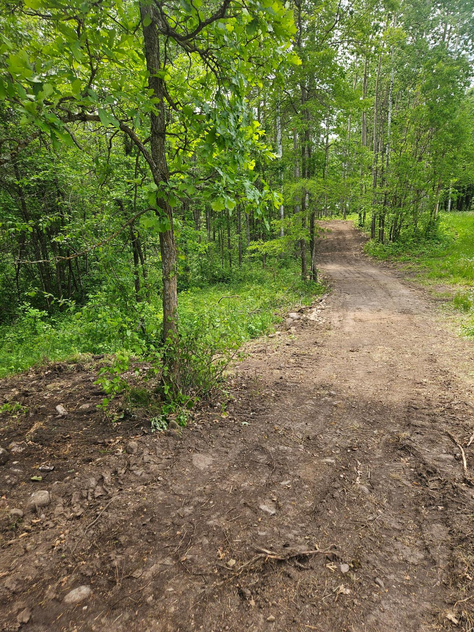 land for sale at Parcel E Rogue Way in Ironton, MN (photo 3 of 18)