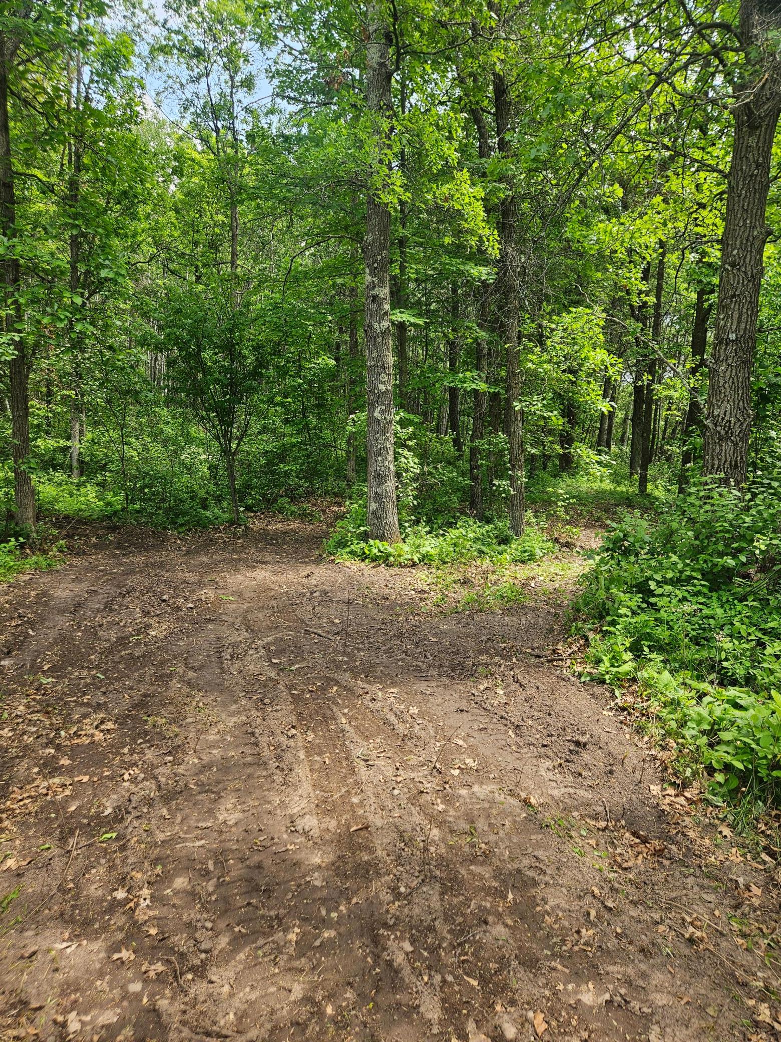 land for sale at Parcel E Rogue Way in Ironton, MN (photo 7 of 18)
