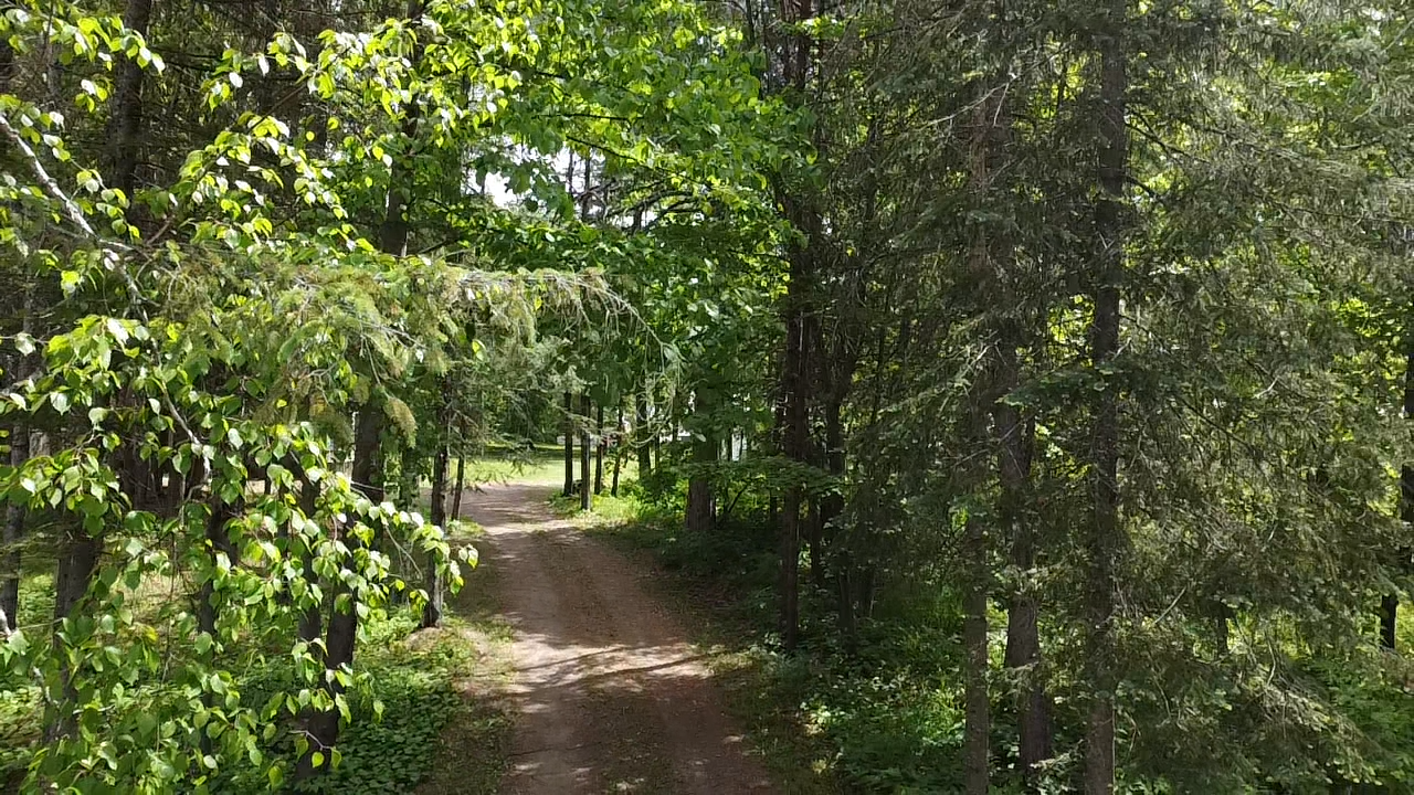 2017 single family home for sale at 29156 State Highway 47 in Aitkin, MN — 1 bed, 1 bath (photo 29 of 51)