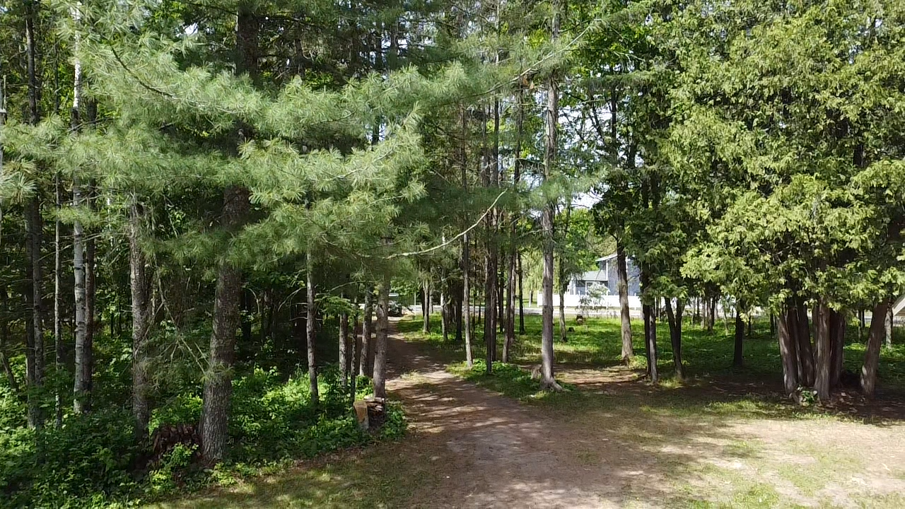 2017 single family home for sale at 29156 State Highway 47 in Aitkin, MN — 1 bed, 1 bath (photo 31 of 51)