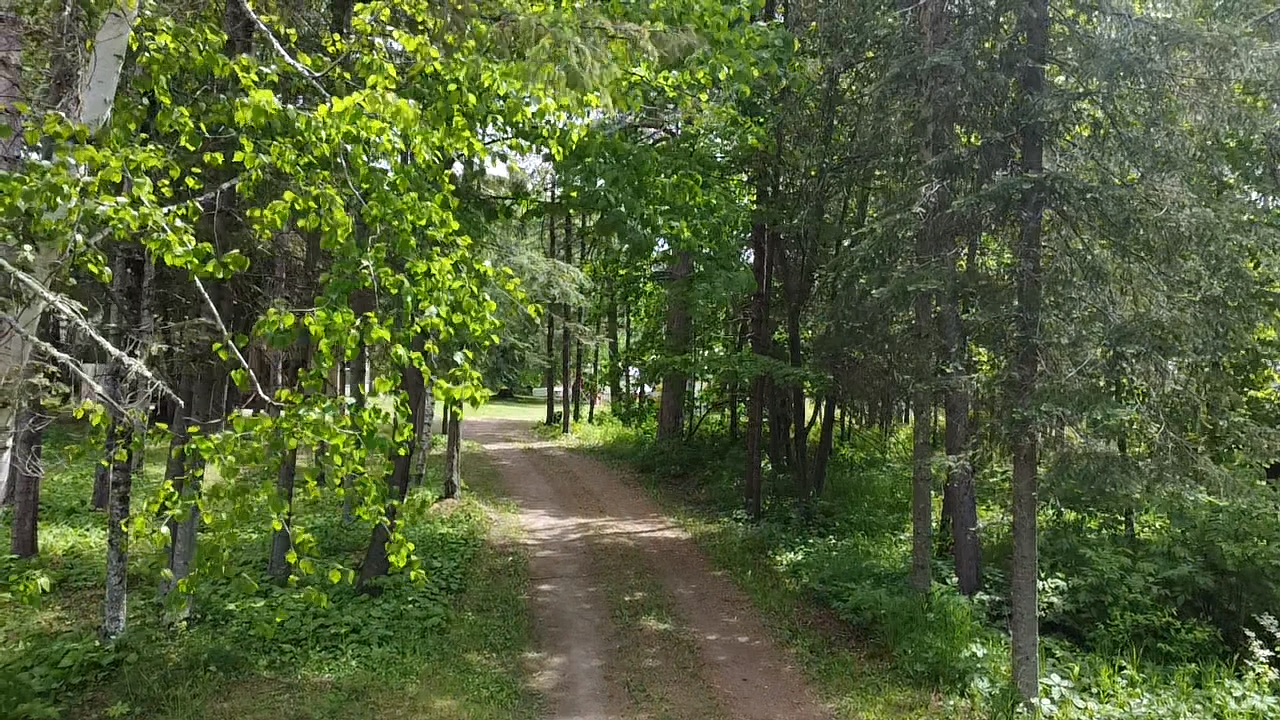 2017 single family home for sale at 29156 State Highway 47 in Aitkin, MN — 1 bed, 1 bath (photo 5 of 51)