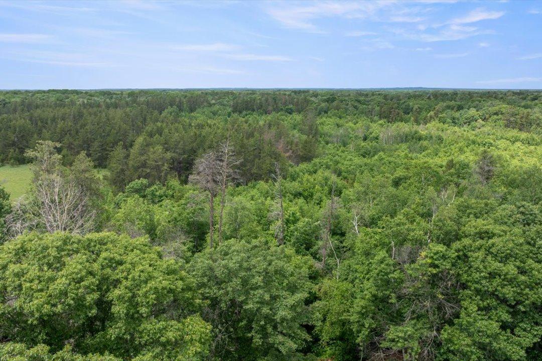 16715 Paul Road, Brainerd MN 56401 - Photo 41 of 63