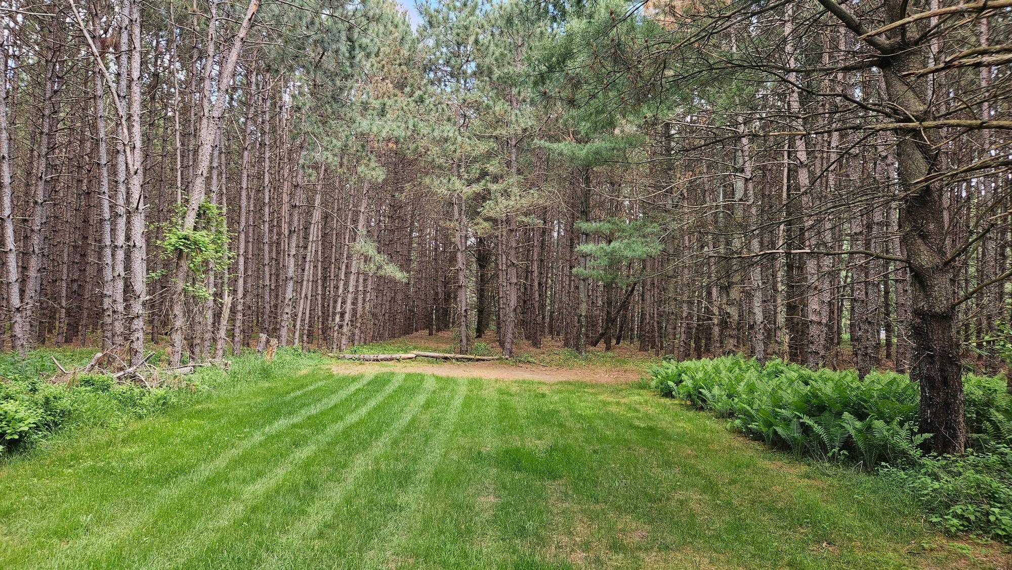 1552 Harrison Drive SW, Brainerd MN 56401 - Photo 7 of 13