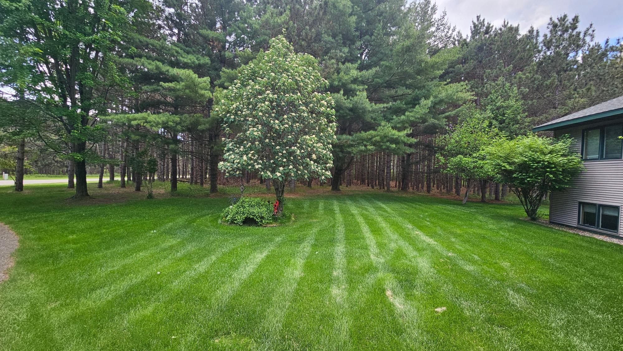 1552 Harrison Drive SW, Brainerd MN 56401 - Photo 8 of 13