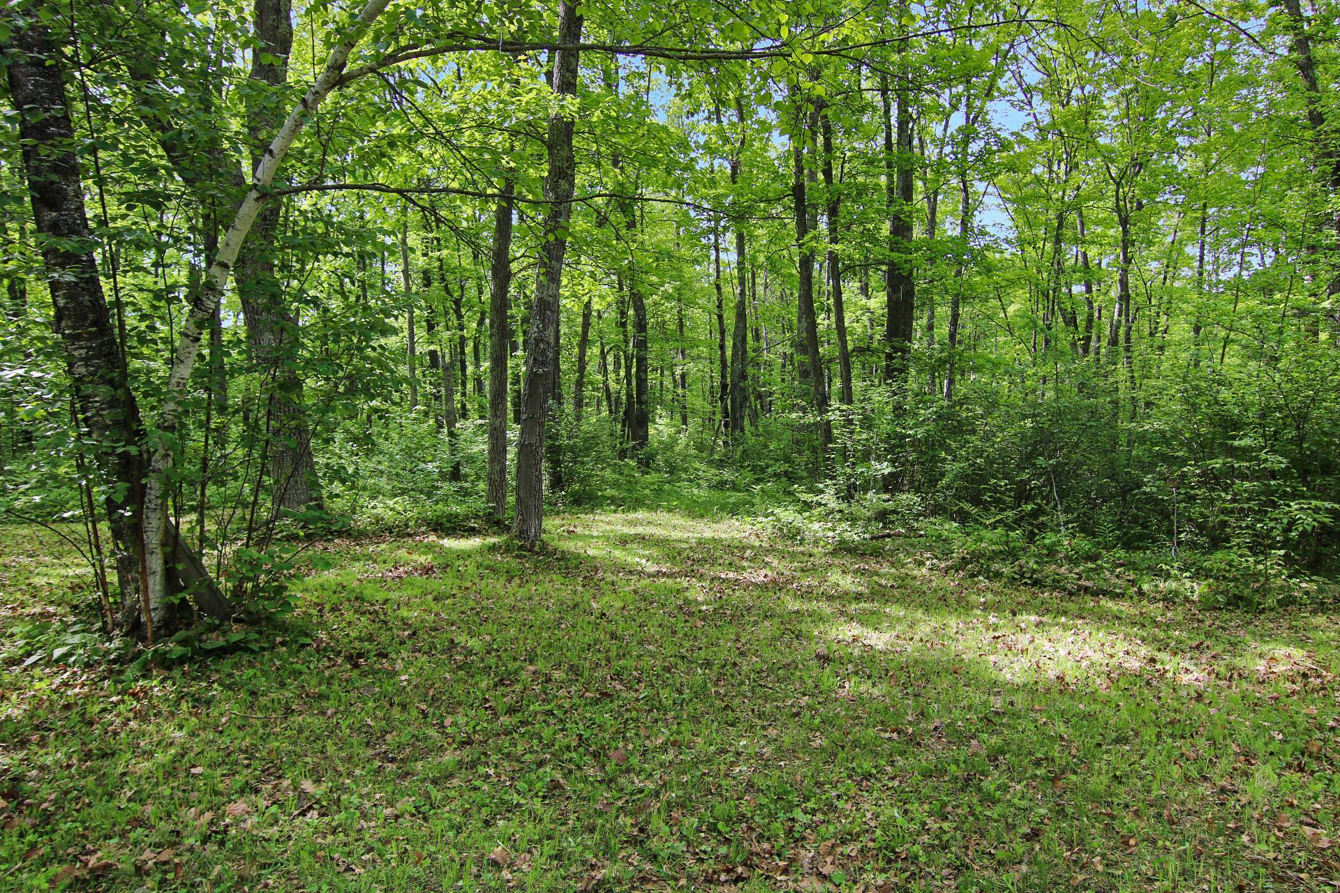 TBD Crooked Lake Twp, Outing MN 56662 - Photo 25 of 26