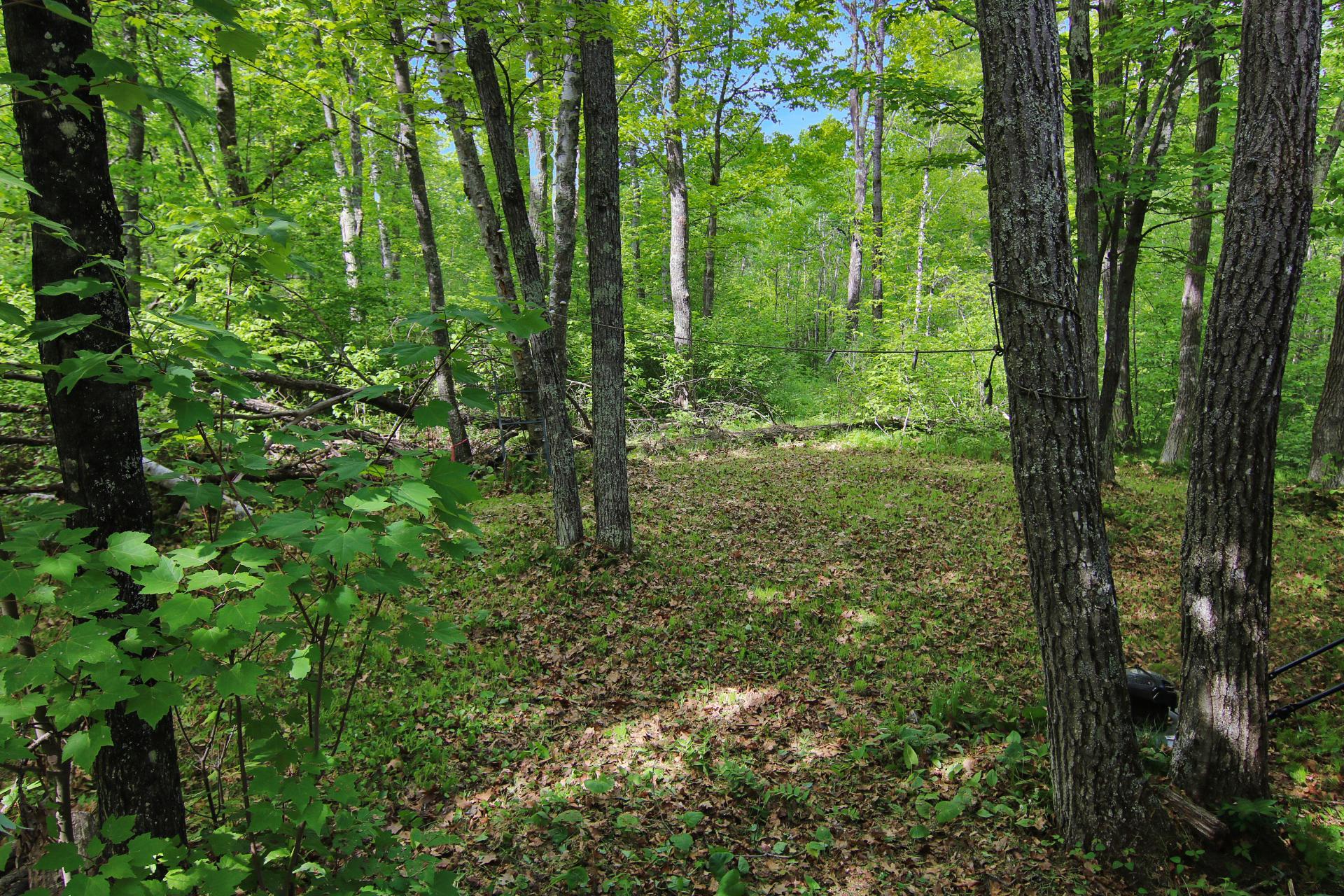 TBD Crooked Lake Twp, Outing MN 56662 - Photo 26 of 26