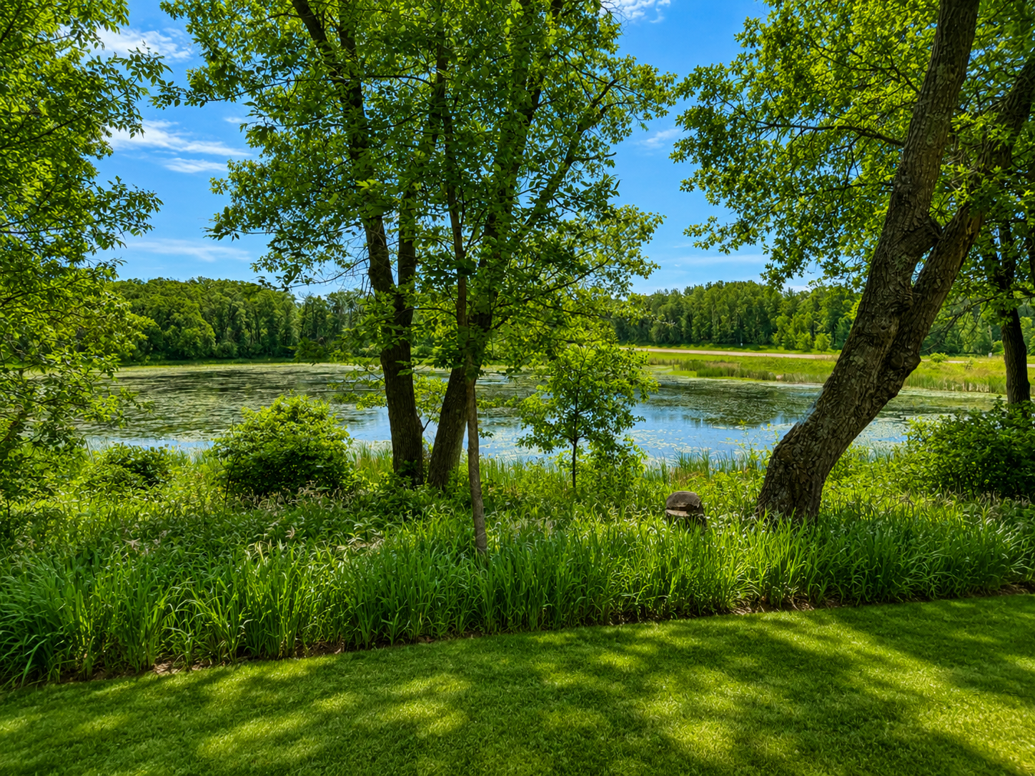 2006 single family home for sale at 44817 State Hwy 210 in Vining, MN — 4 bed, 3 bath (photo 36 of 48)