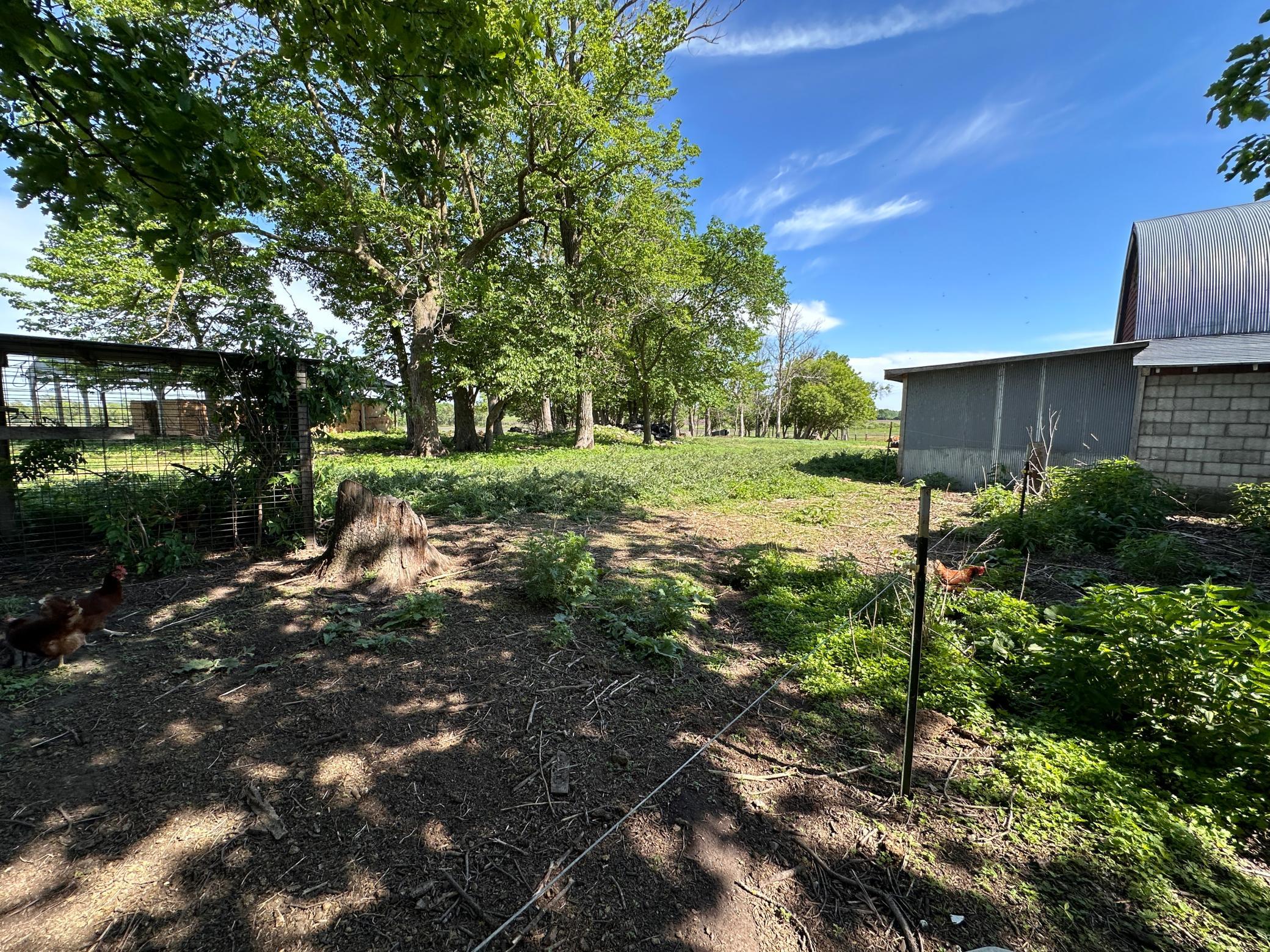 2001 single family home for sale at 27858 570th Avenue in Deer Creek, MN — 6 bed, 1 bath (photo 26 of 35)