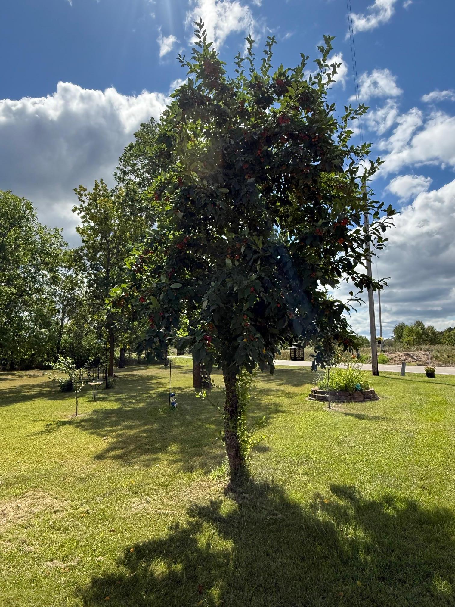 13658 County Road 100, Wadena MN 56482 - Photo 20 of 32