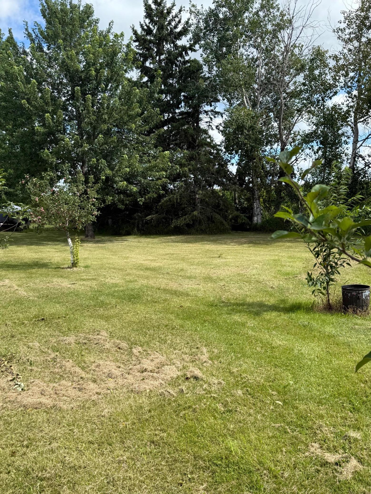 13658 County Road 100, Wadena MN 56482 - Photo 22 of 32