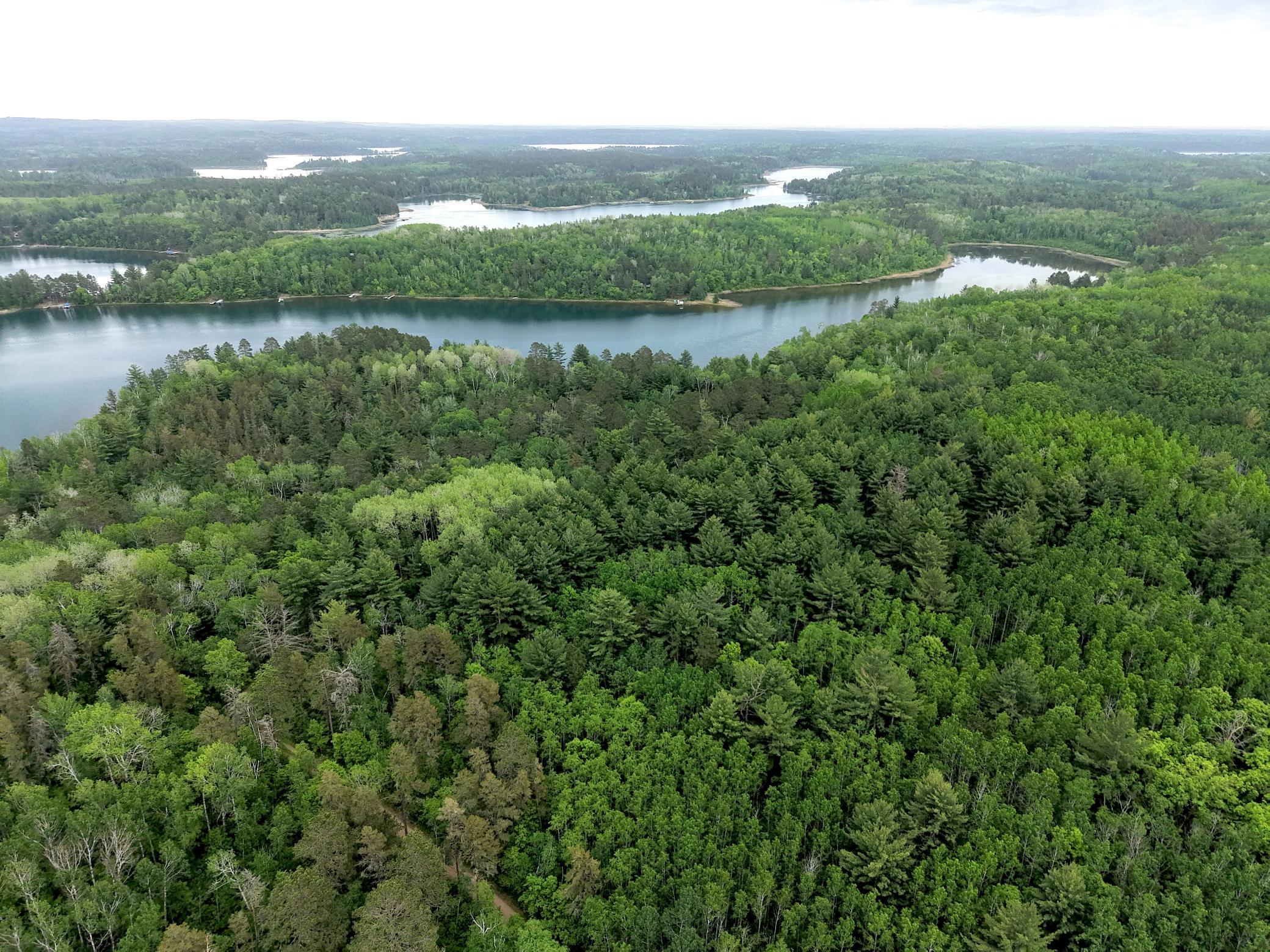 land for sale at TBD 290th Street in Park Rapids, MN