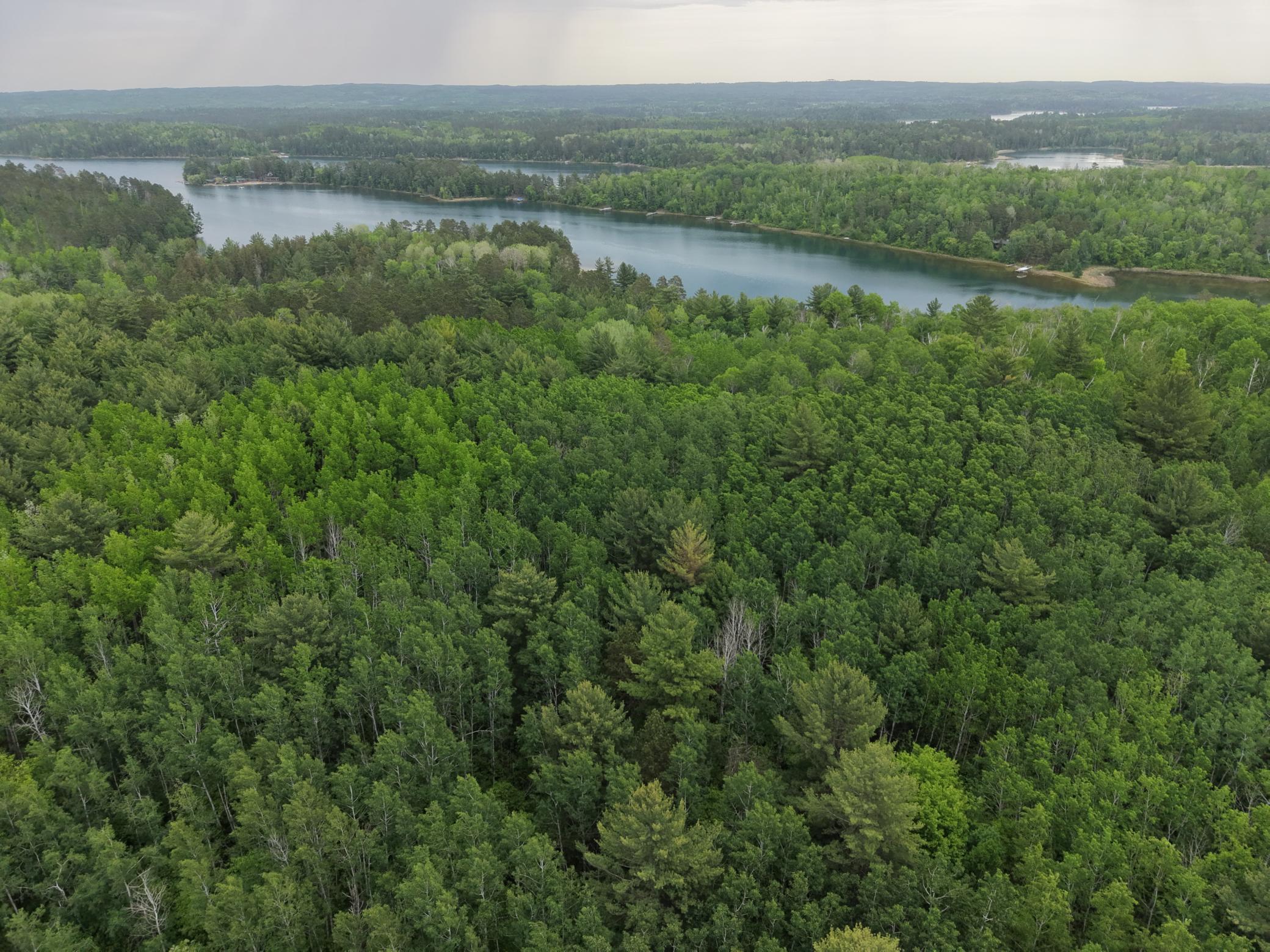 land for sale at TBD 290th Street in Park Rapids, MN (photo 2 of 40)