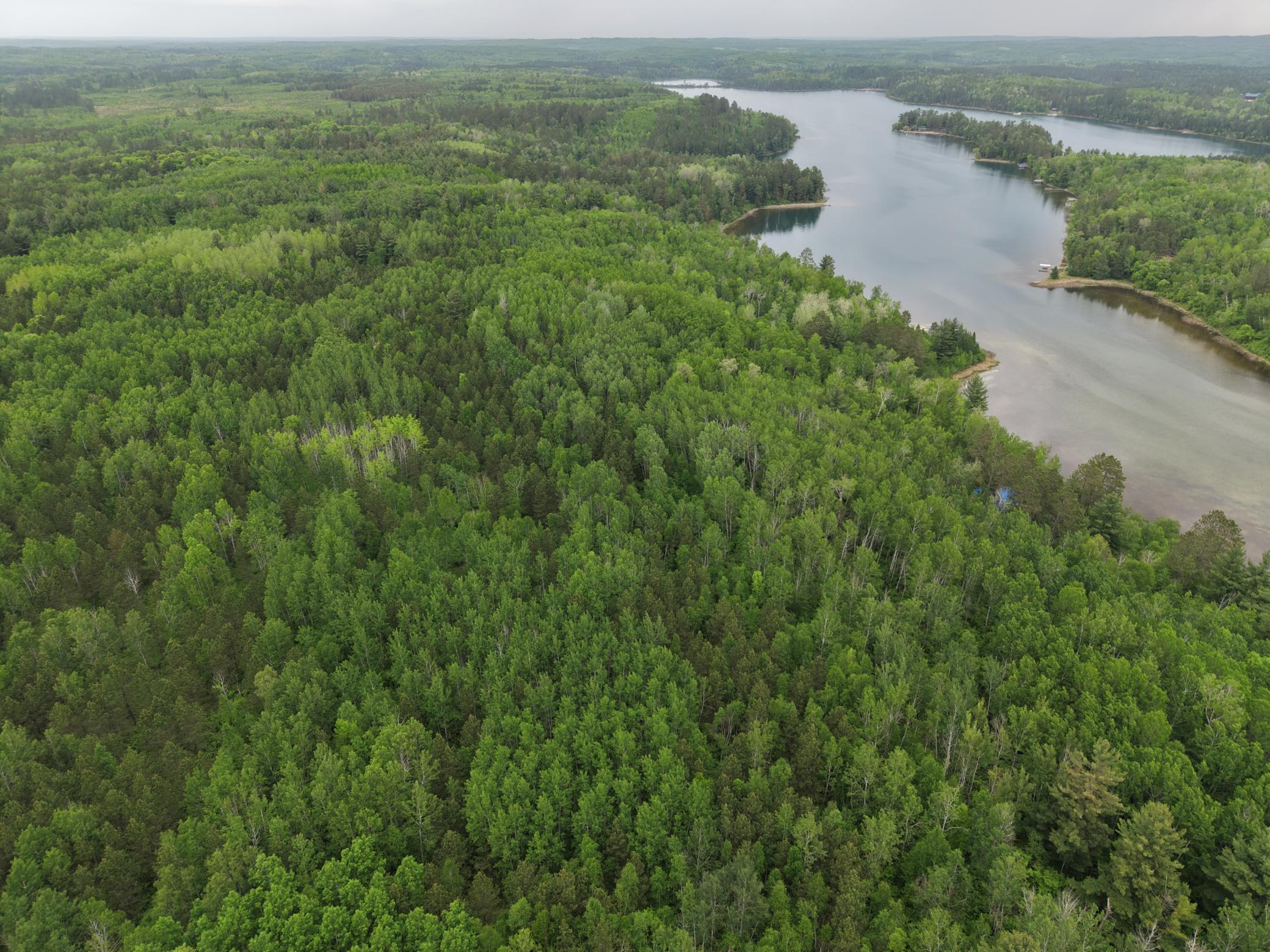 land for sale at TBD 290th Street in Park Rapids, MN (photo 11 of 40)