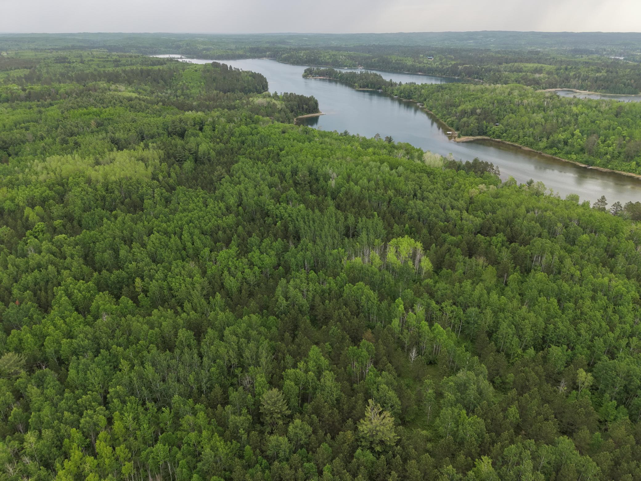 land for sale at TBD 290th Street in Park Rapids, MN (photo 12 of 40)
