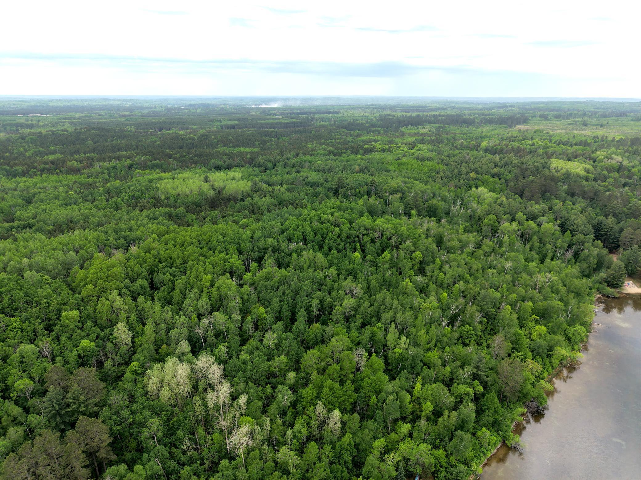 land for sale at TBD 290th Street in Park Rapids, MN (photo 16 of 40)