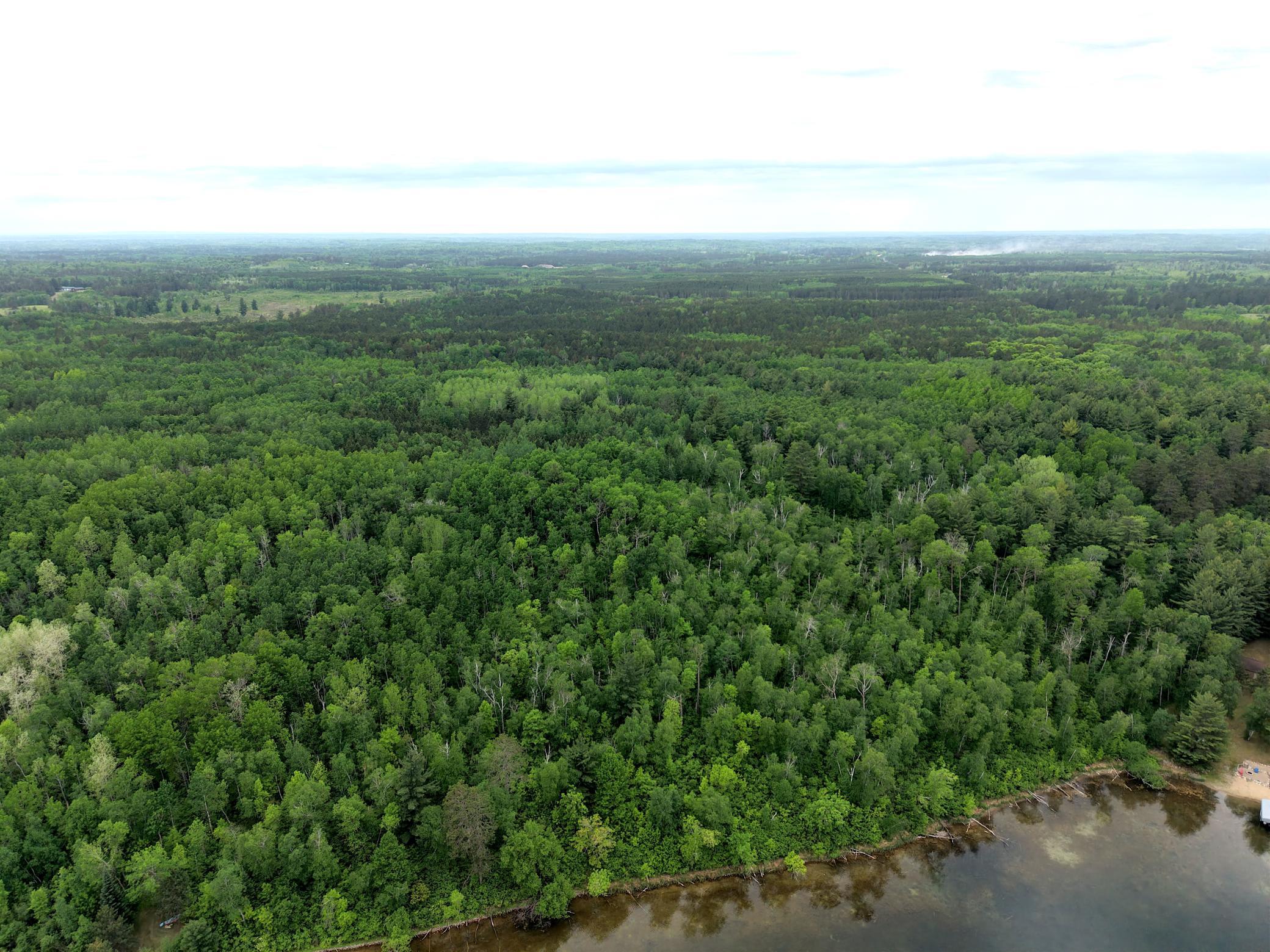 land for sale at TBD 290th Street in Park Rapids, MN (photo 17 of 40)
