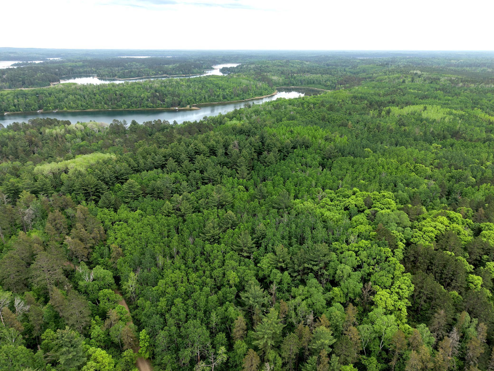 land for sale at TBD 290th Street in Park Rapids, MN (photo 22 of 40)
