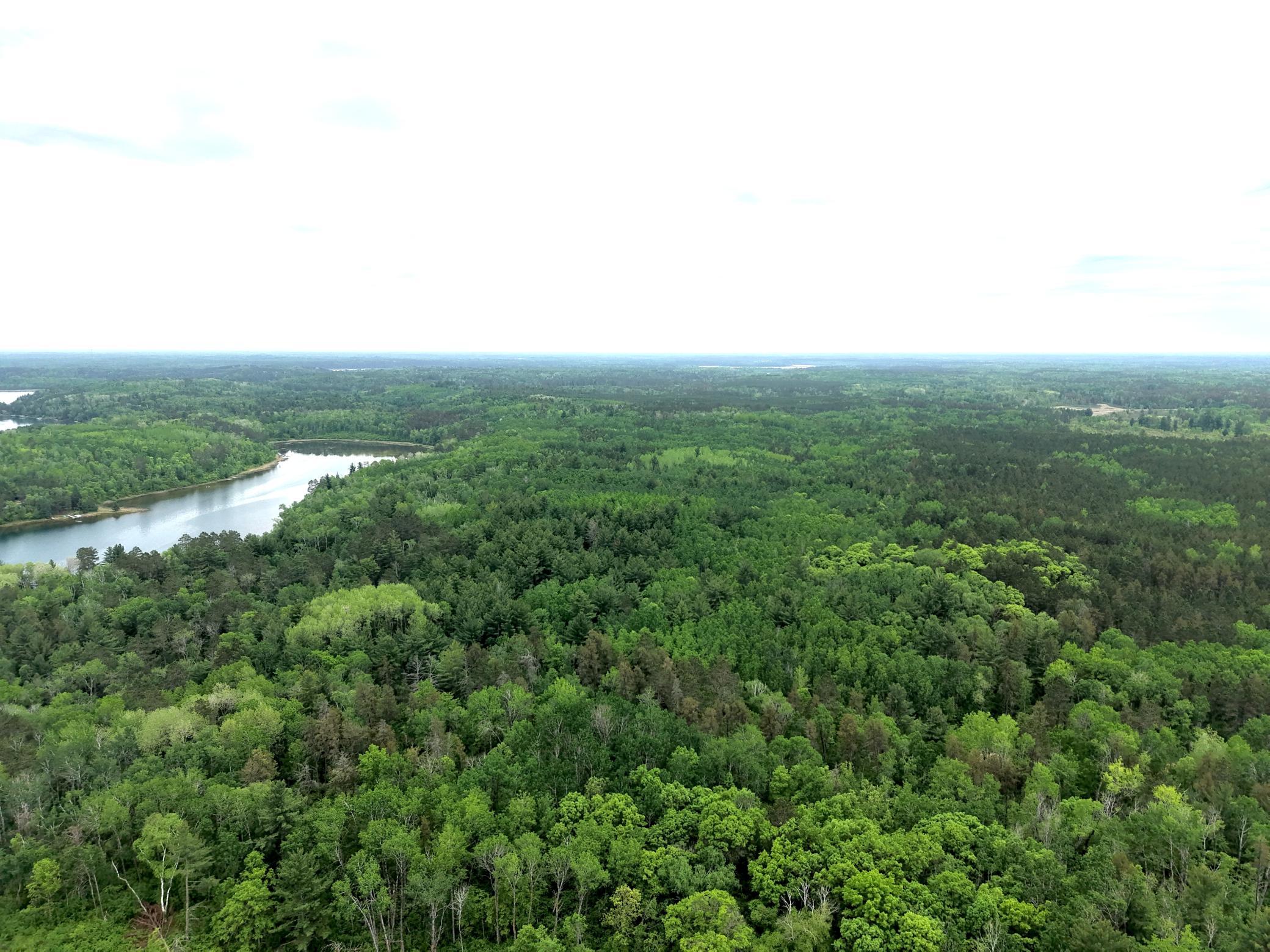 land for sale at TBD 290th Street in Park Rapids, MN (photo 24 of 40)