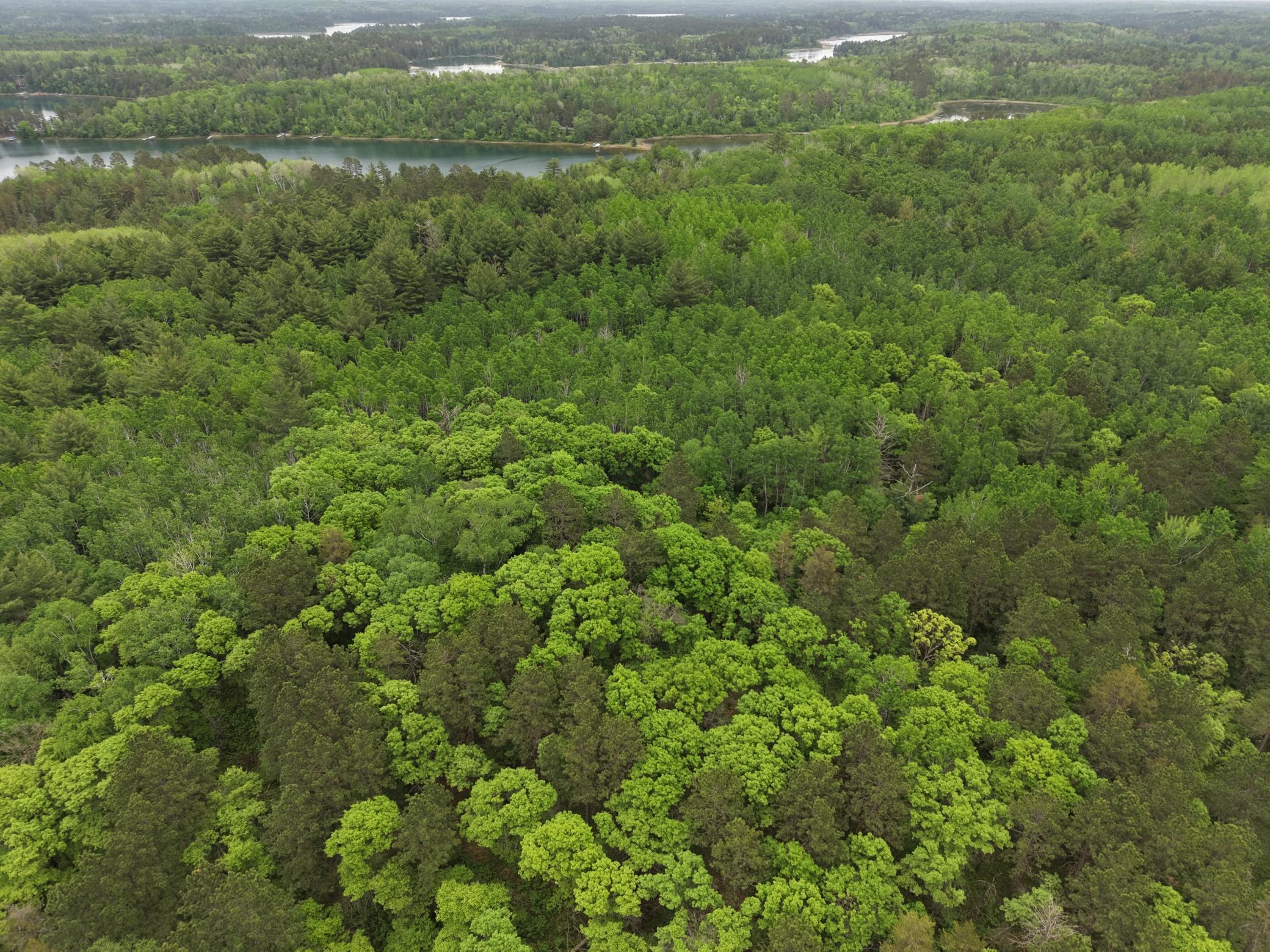 land for sale at TBD 290th Street in Park Rapids, MN (photo 25 of 40)