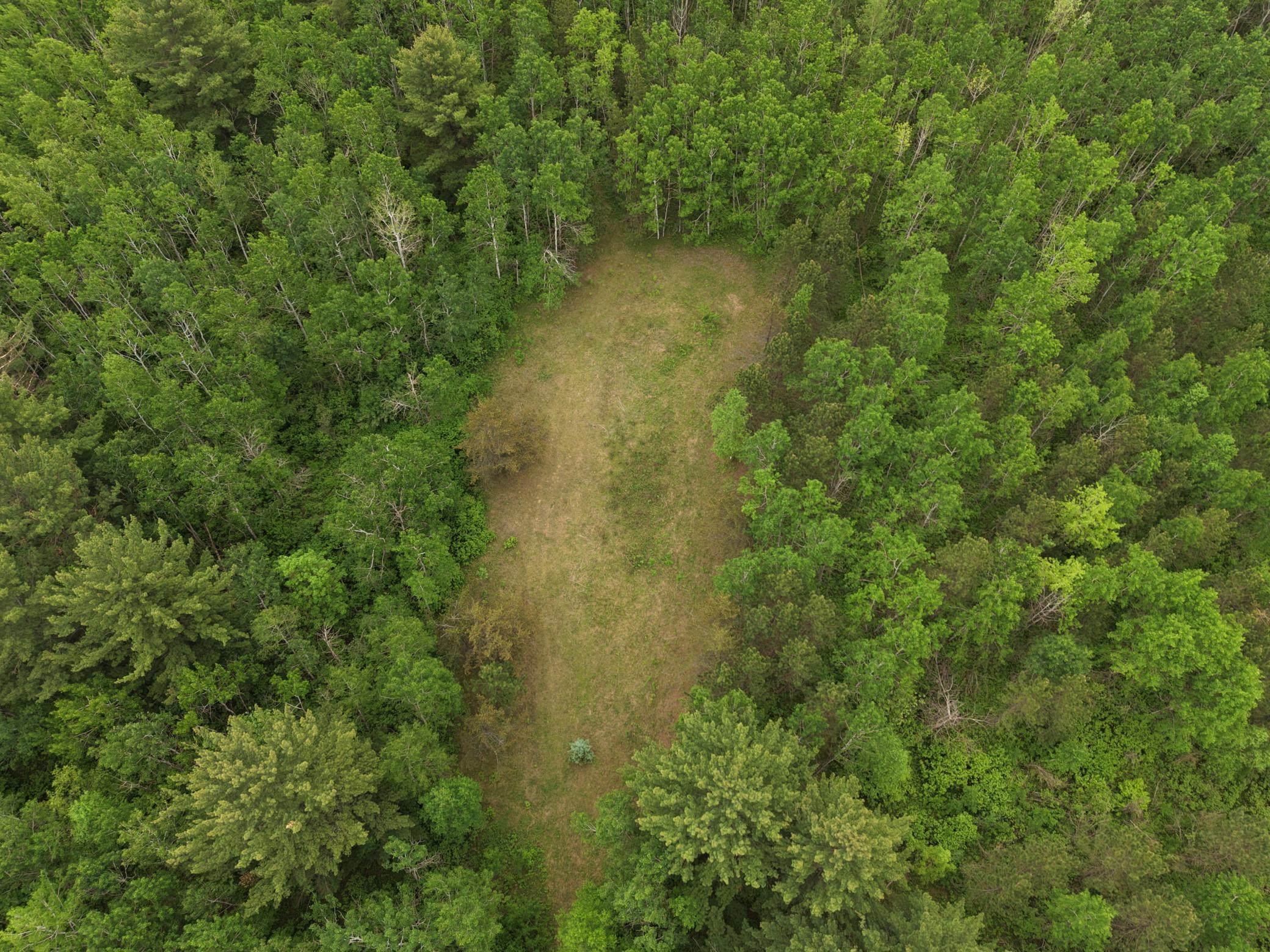 land for sale at TBD 290th Street in Park Rapids, MN (photo 26 of 40)