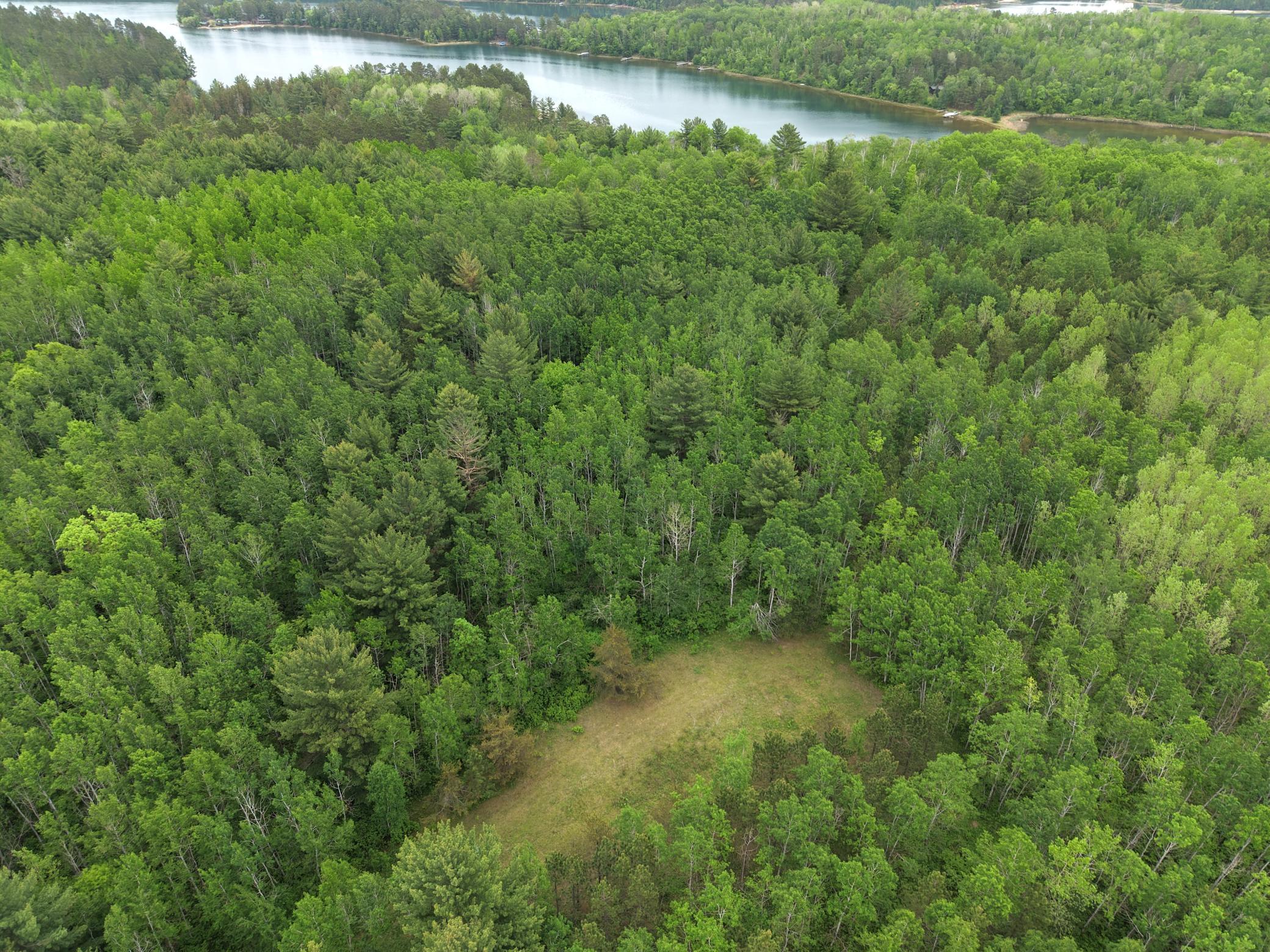 land for sale at TBD 290th Street in Park Rapids, MN (photo 27 of 40)