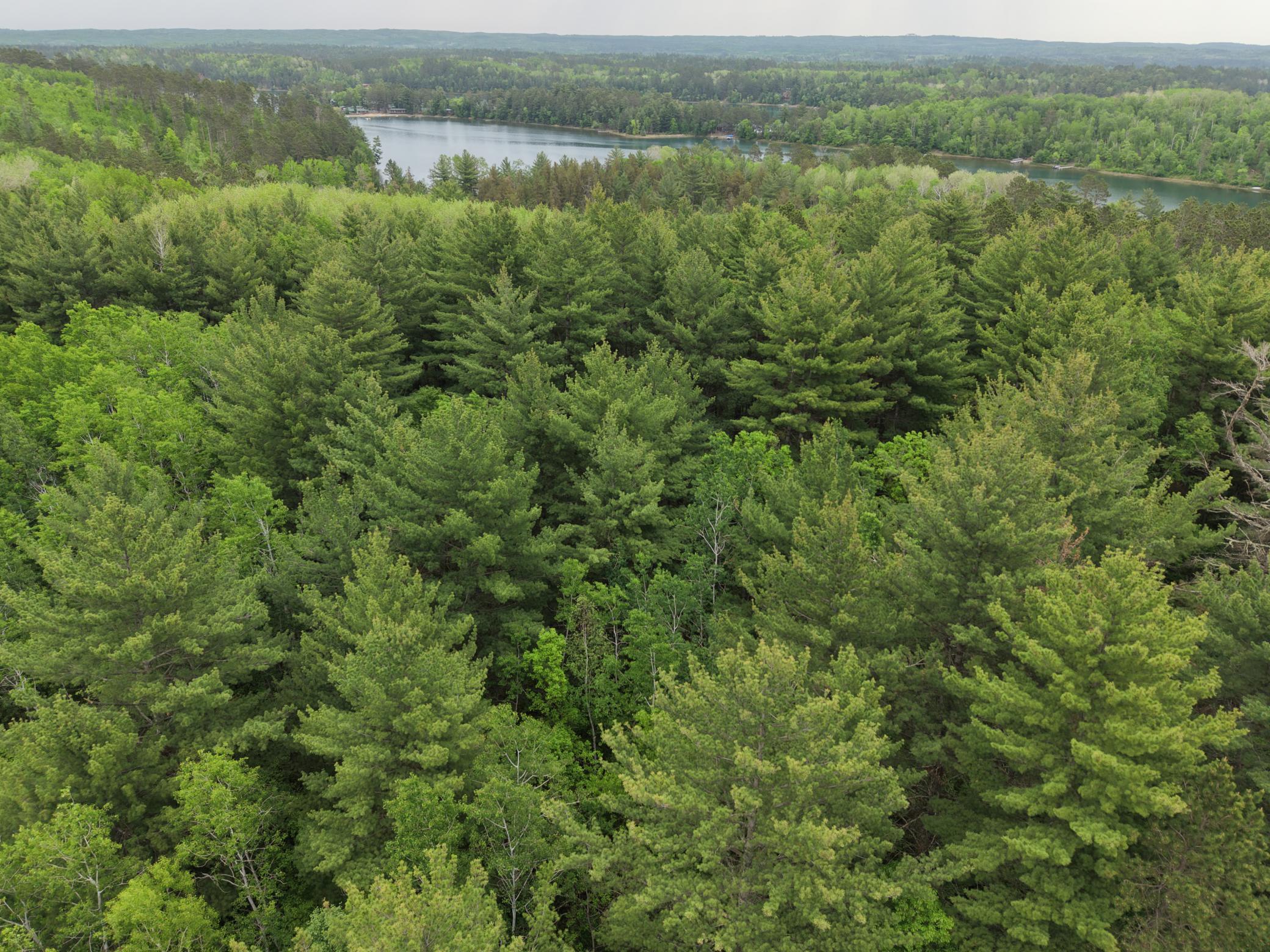 land for sale at TBD 290th Street in Park Rapids, MN (photo 30 of 40)
