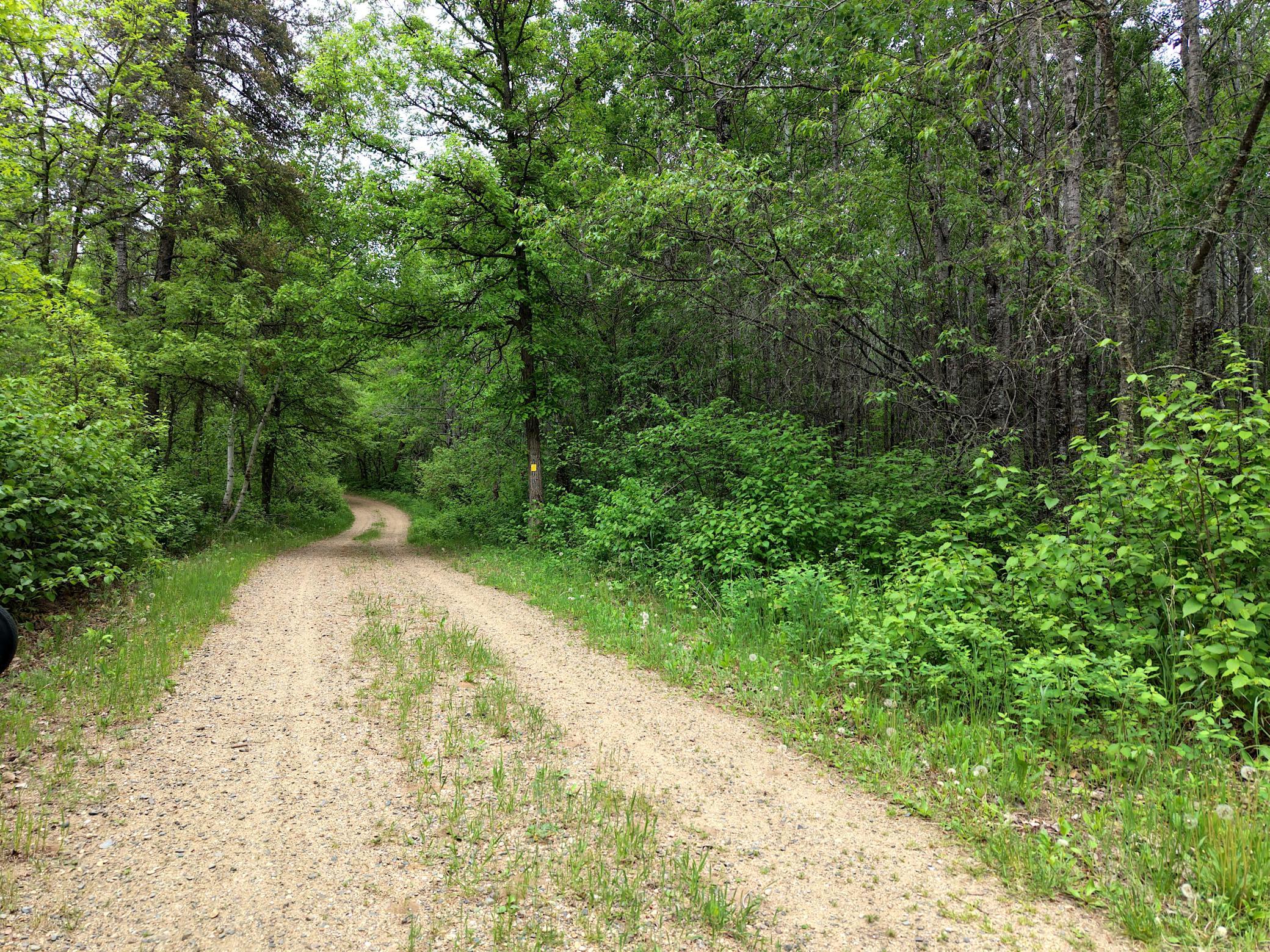 land for sale at TBD 290th Street in Park Rapids, MN (photo 31 of 40)