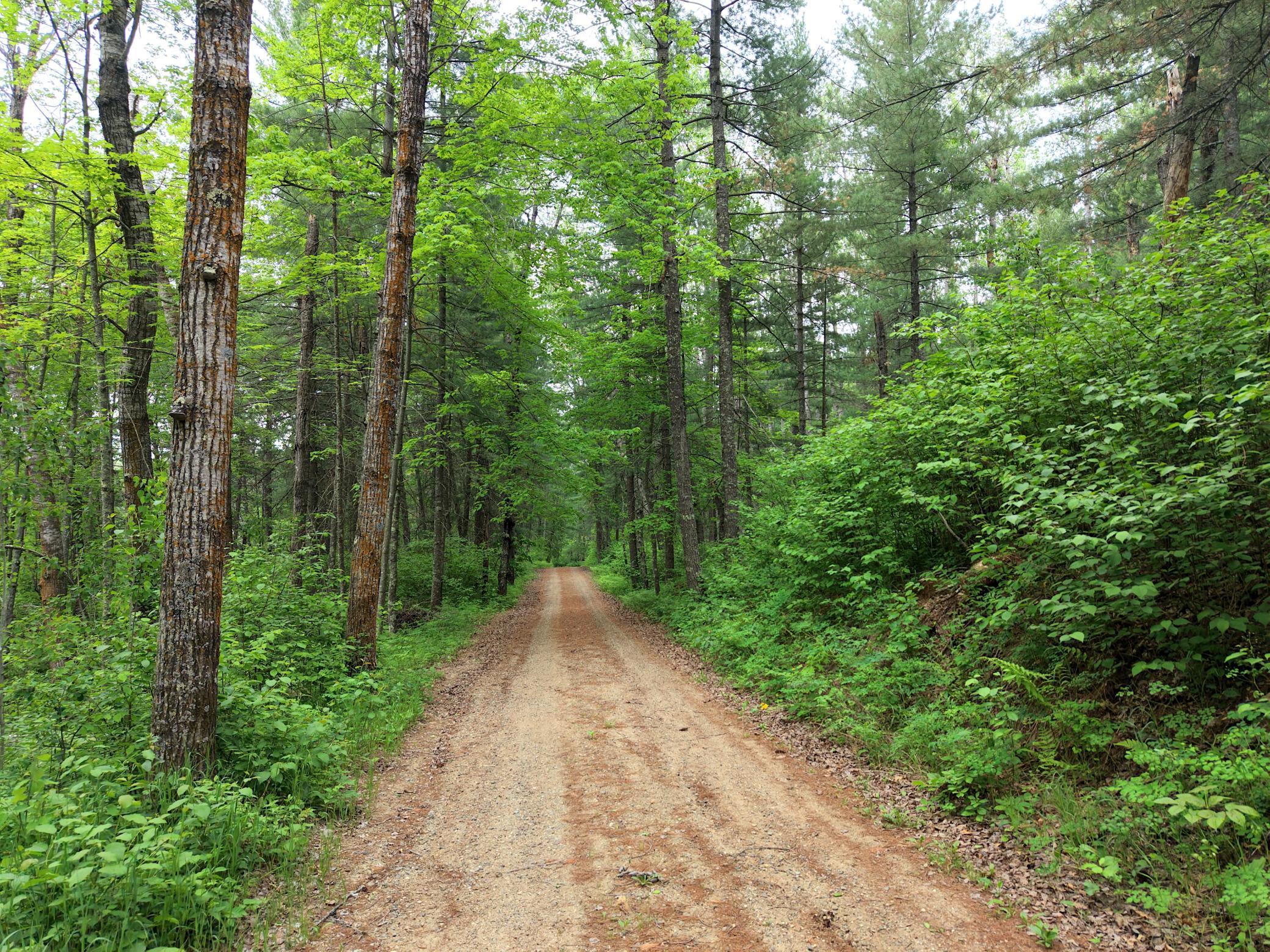 land for sale at TBD 290th Street in Park Rapids, MN (photo 32 of 40)