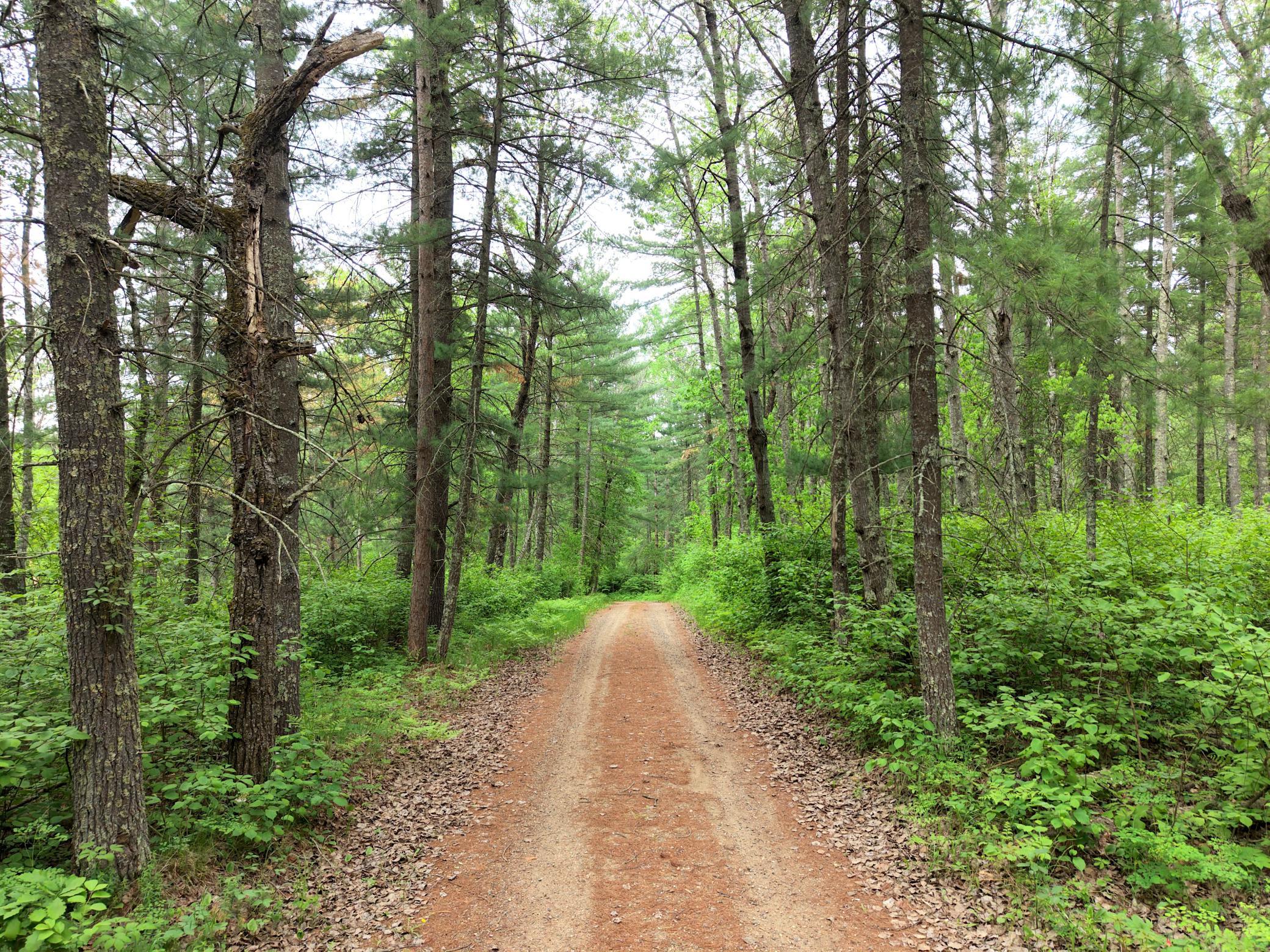 land for sale at TBD 290th Street in Park Rapids, MN (photo 33 of 40)