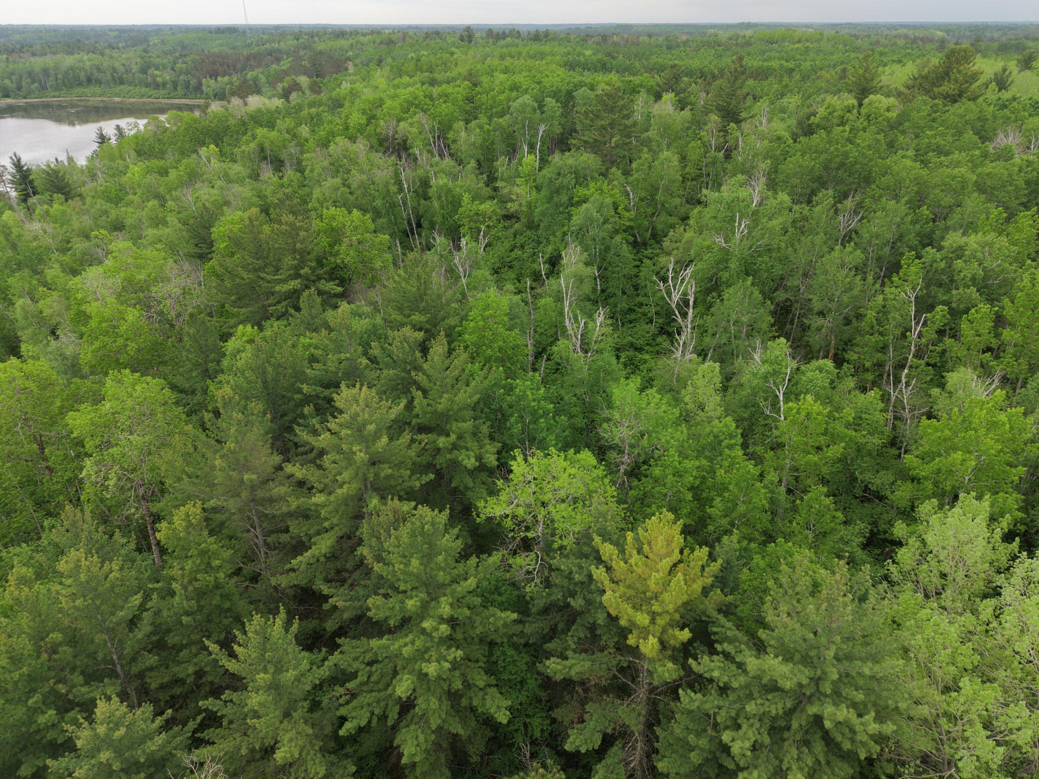 land for sale at TBD 290th Street in Park Rapids, MN (photo 34 of 40)