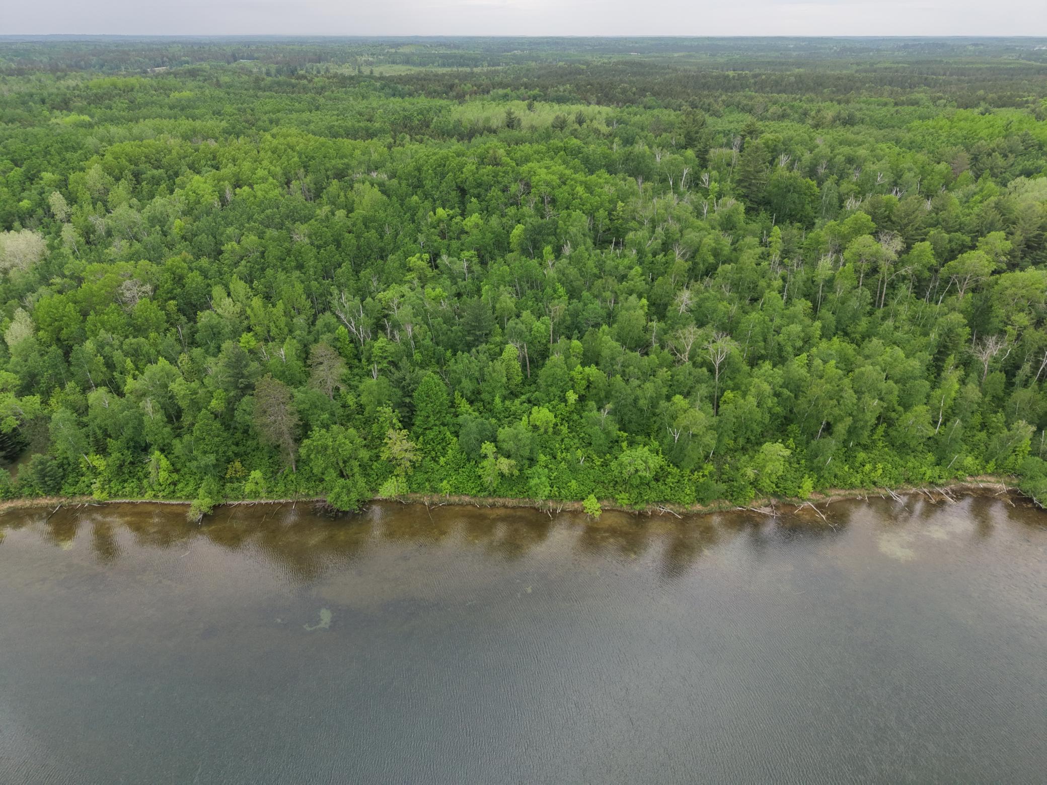 land for sale at TBD 290th Street in Park Rapids, MN (photo 36 of 40)