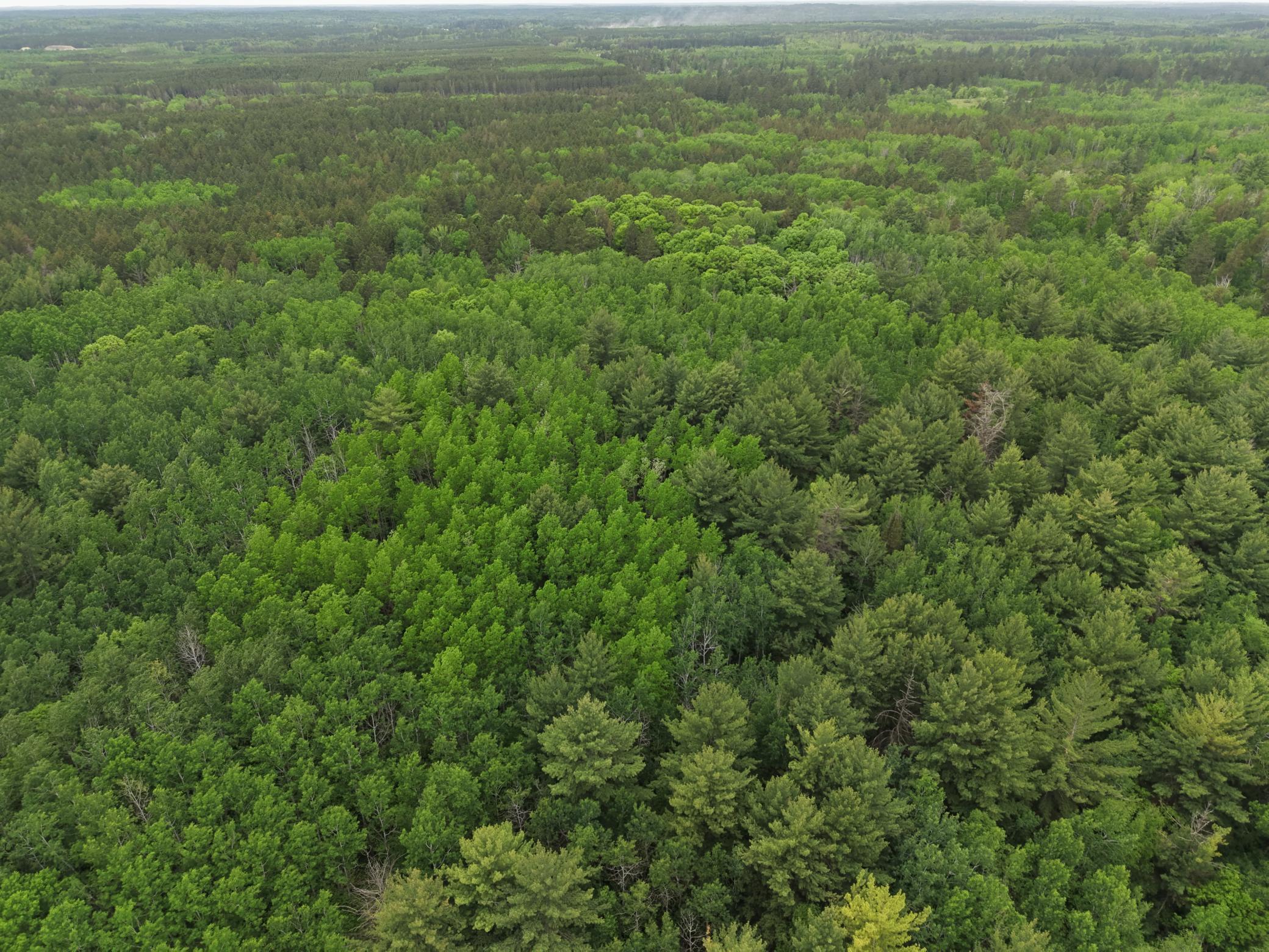 land for sale at TBD 290th Street in Park Rapids, MN (photo 37 of 40)