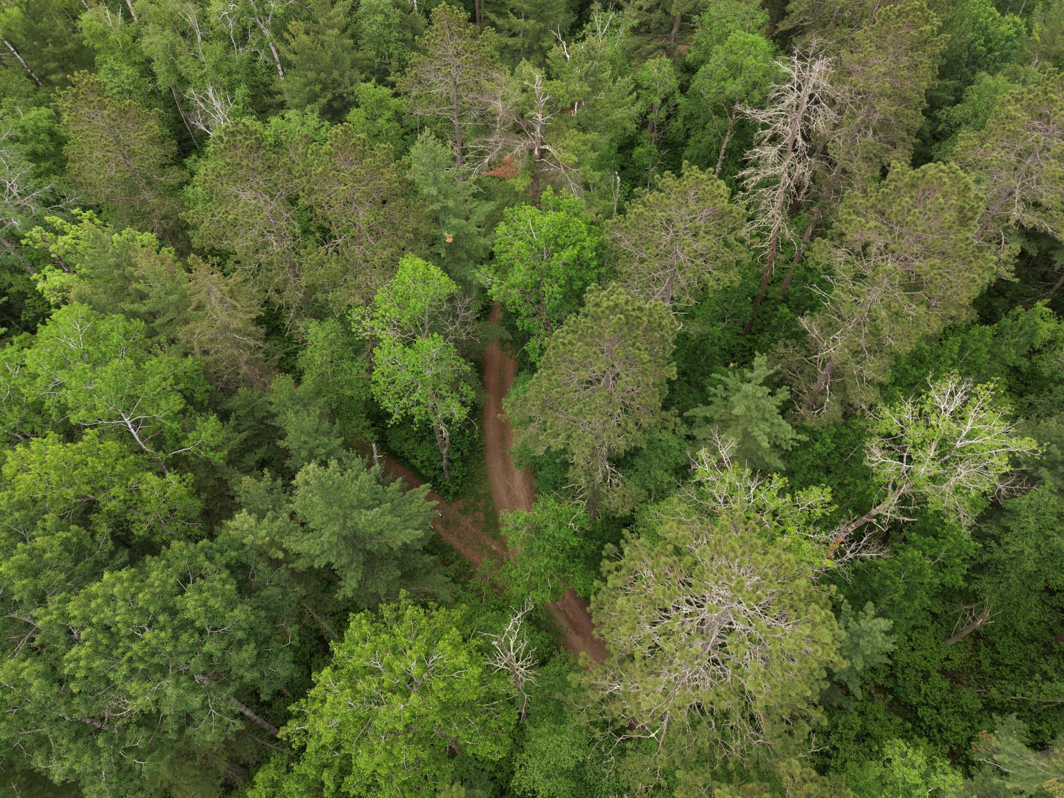 land for sale at TBD 290th Street in Park Rapids, MN (photo 38 of 40)
