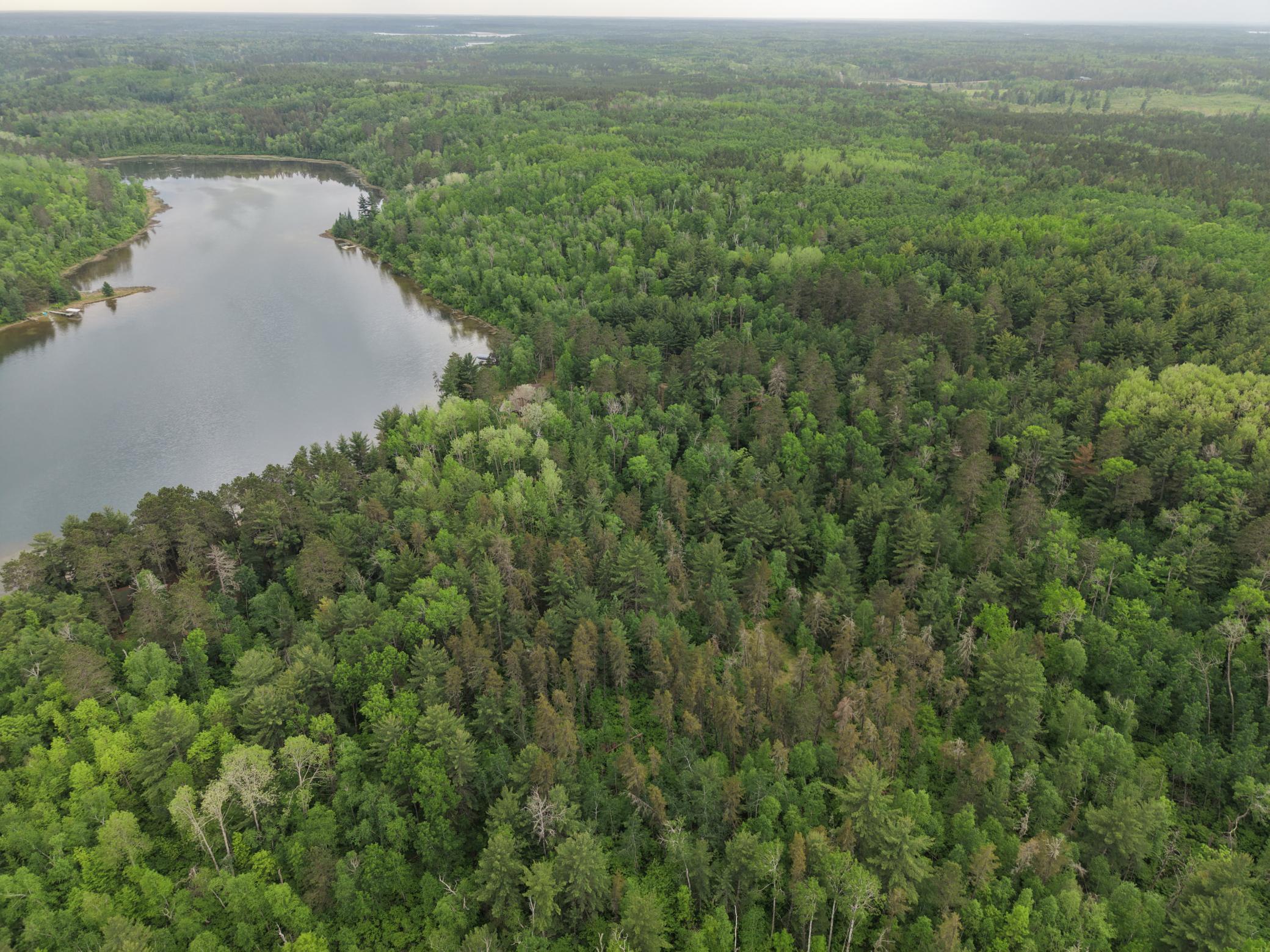 land for sale at TBD 290th Street in Park Rapids, MN (photo 5 of 40)