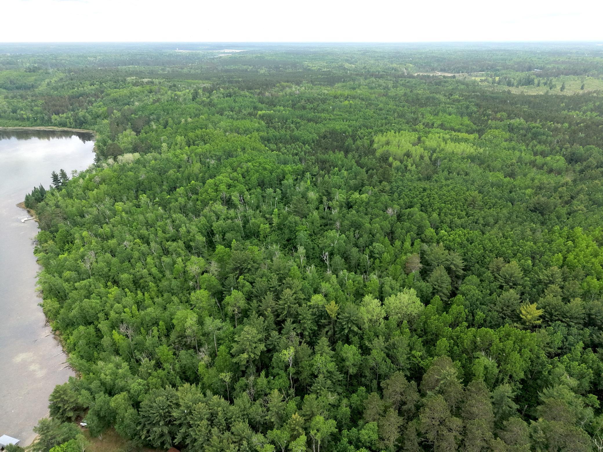 land for sale at TBD 290th Street in Park Rapids, MN (photo 6 of 40)