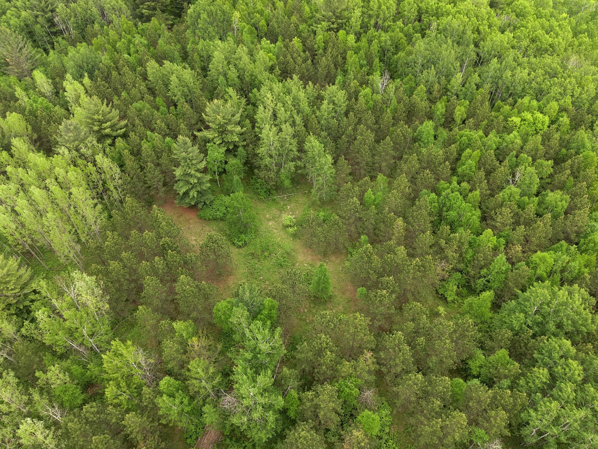 land for sale at TBD 290th Street in Park Rapids, MN (photo 7 of 40)