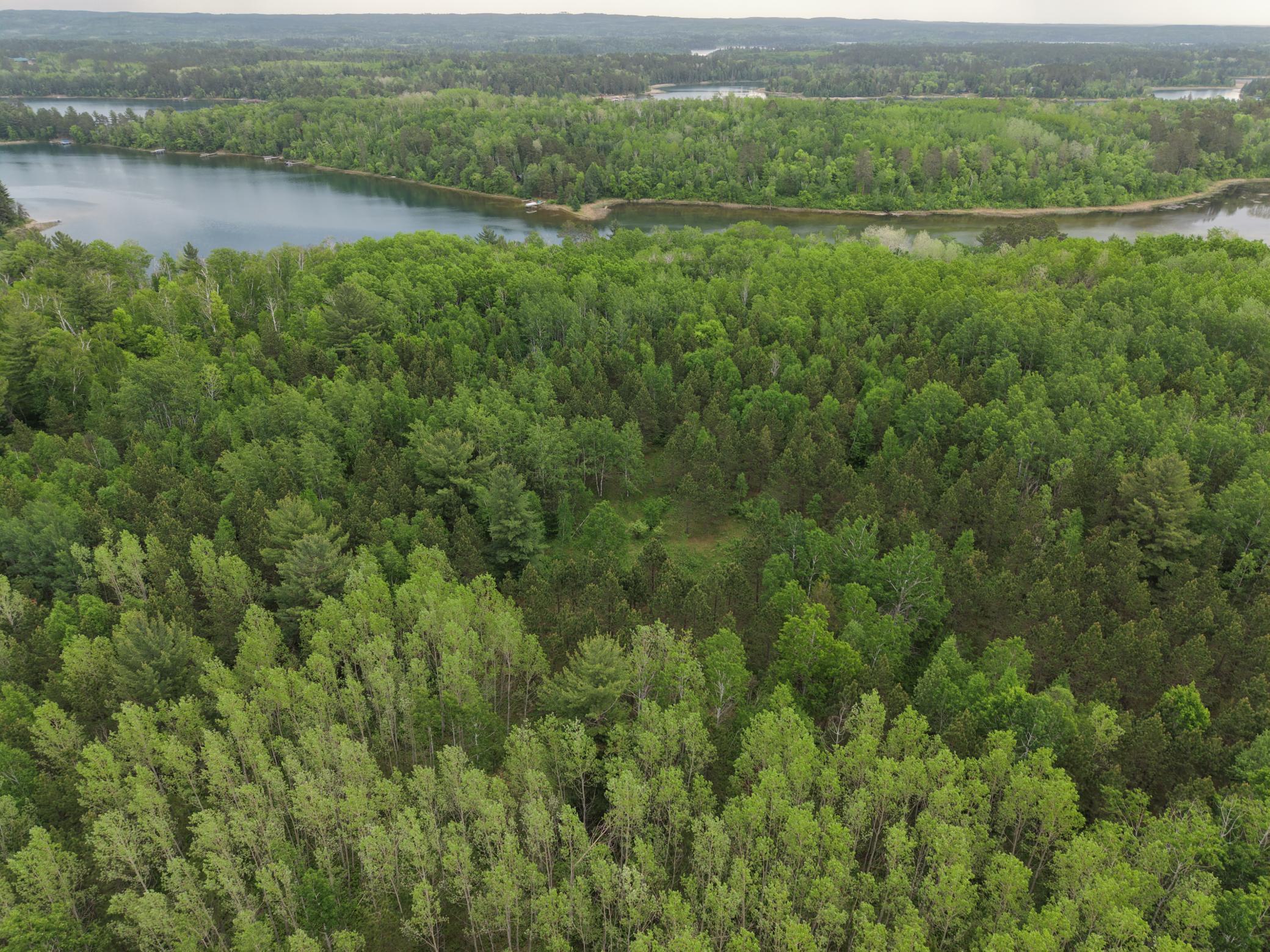land for sale at TBD 290th Street in Park Rapids, MN (photo 8 of 40)